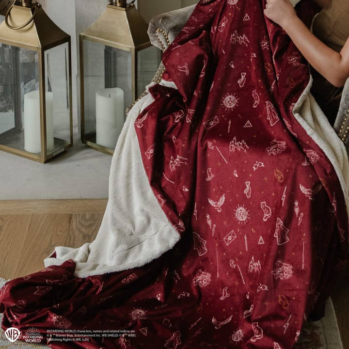 Harry Potter™ Icons Minky/Lush for wholesale by Saranoni