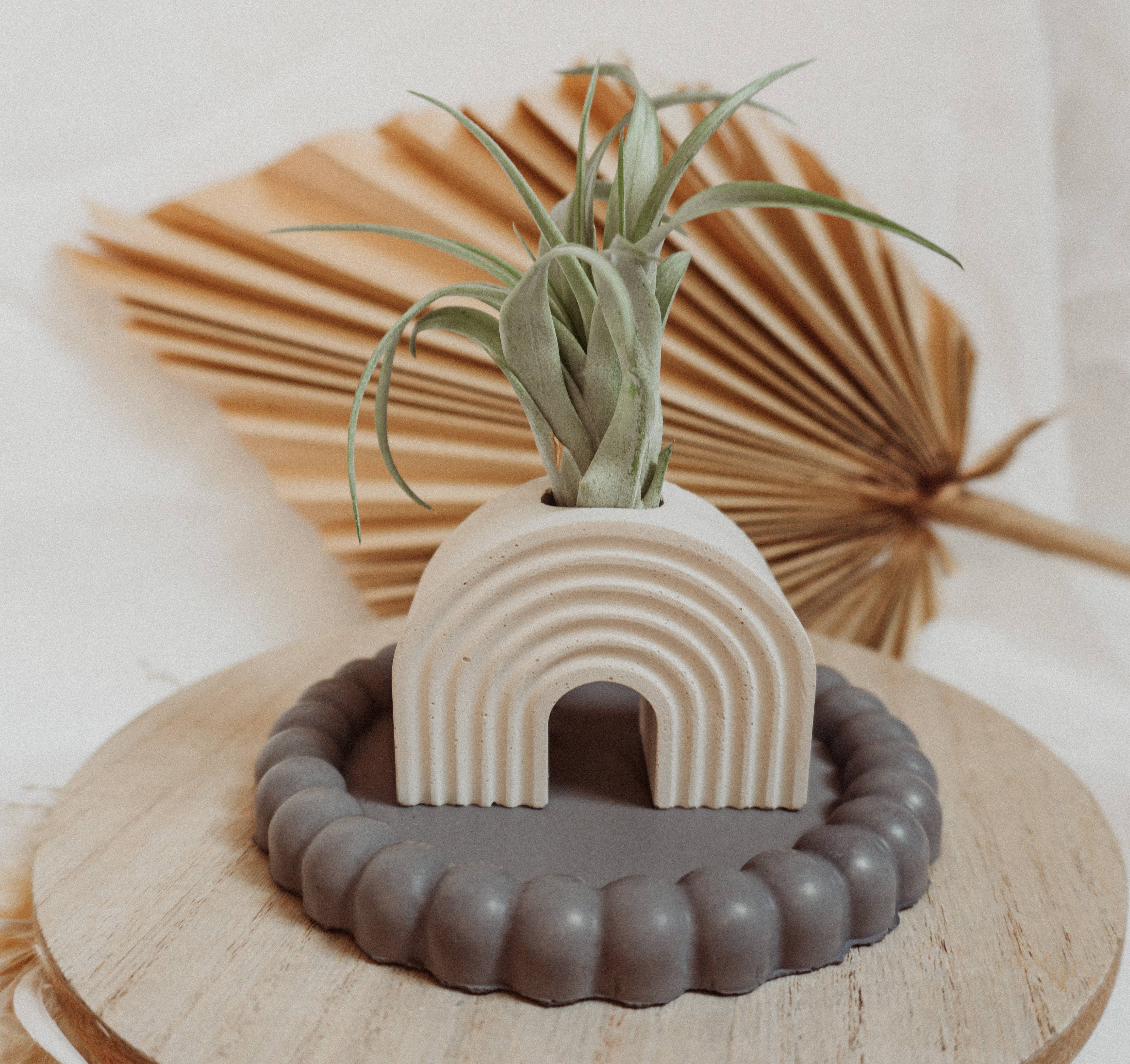 Lex Moderne - Wholesale Plantenpot - Rainbow Air-plantenbak3