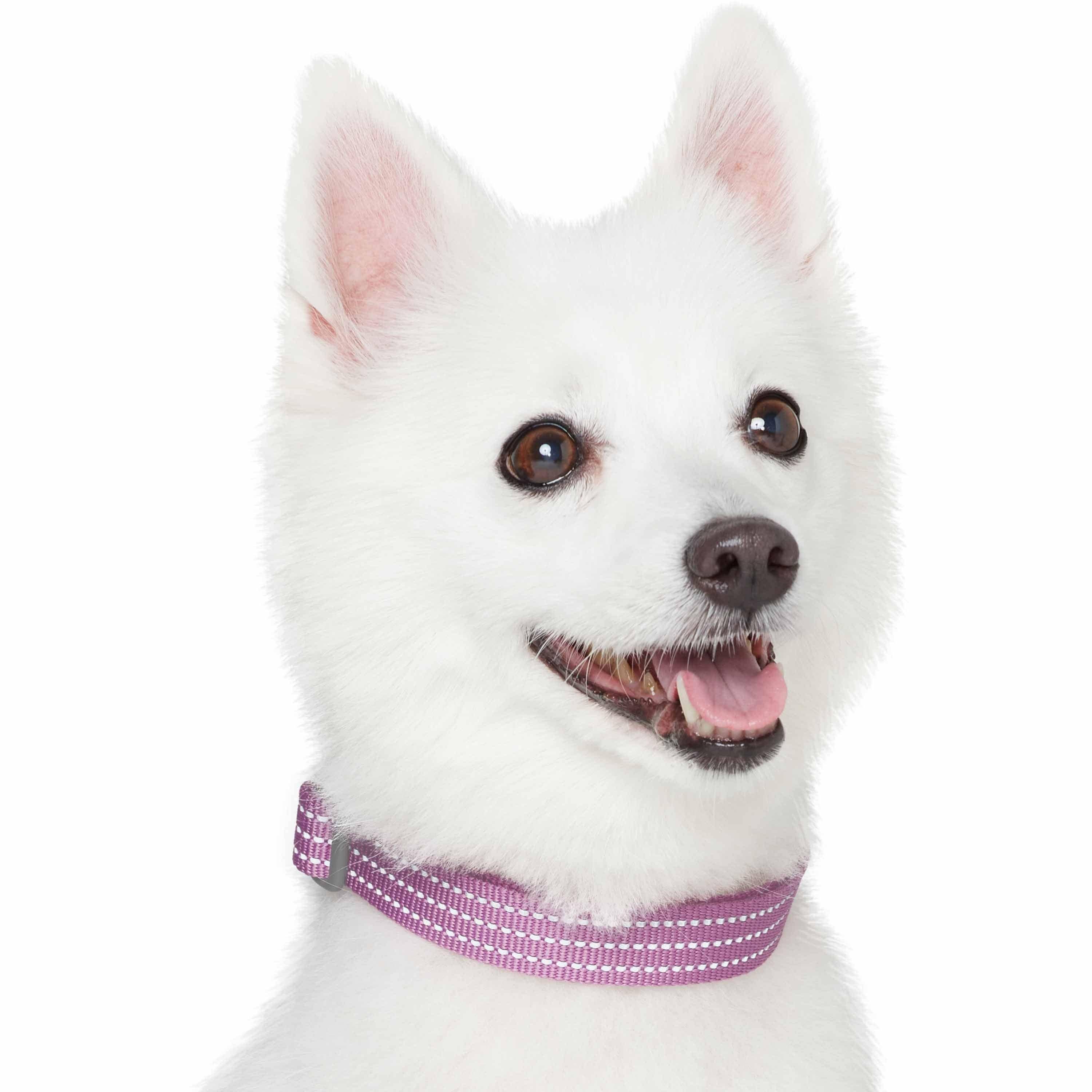 Blueberry Pet - Venta al por mayor Collar - Perros - Collar reflectante para perros Better Basic en 8 colores13