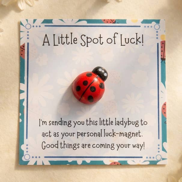 Ladybug Pocket Hug Emotional Support Card Keepsake Token for wholesale by Pocket Hugs Co