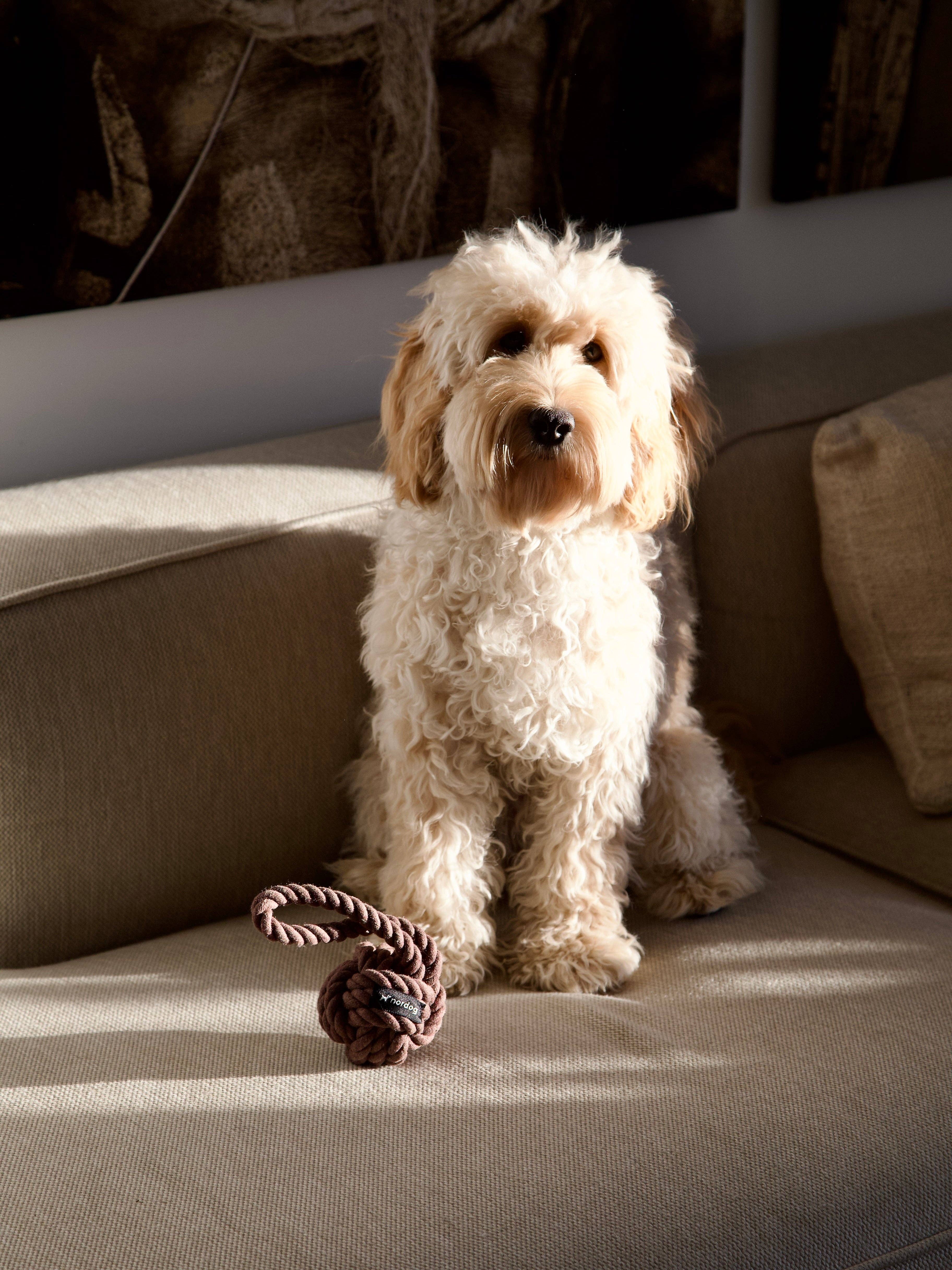 Nordog - Wholesale Pet Rope Toy - Dog - Original Rope Toy Choco5