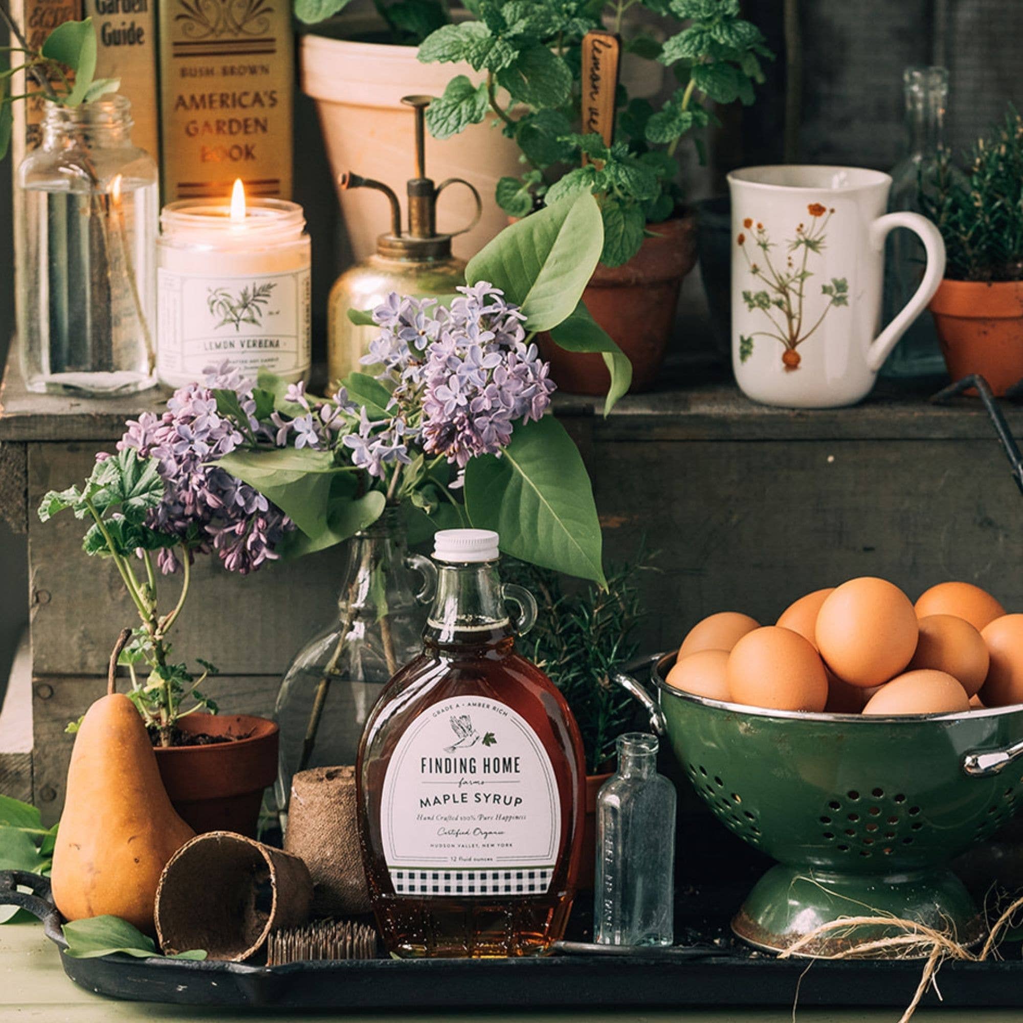 Finding Home Farms - Wholesale Maple Syrup - 100% Pure Organic Maple Syrup - 12 oz Decorative Glass3