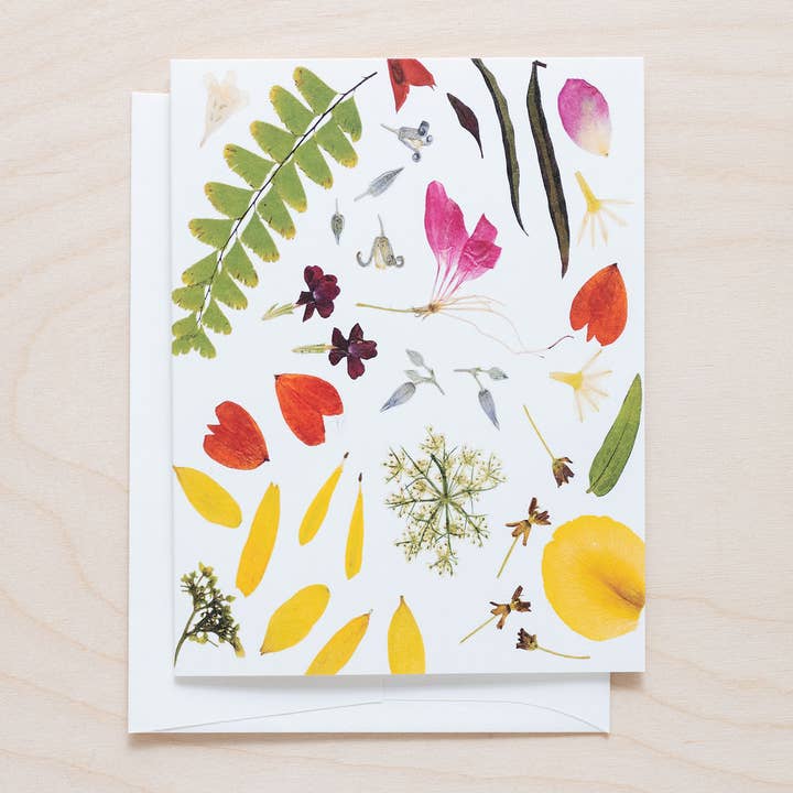 Petal People Press - Vendita all'ingrosso Biglietti di auguri generici - Estate