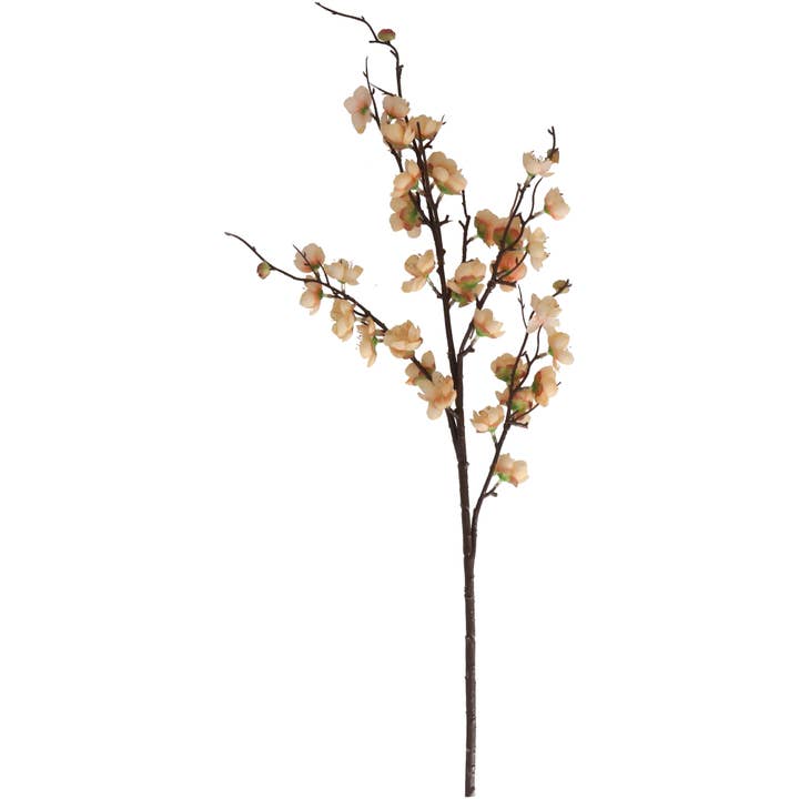 Körsbärskvist Jasmin, L96cm, Persika för wholesale av Vosteen