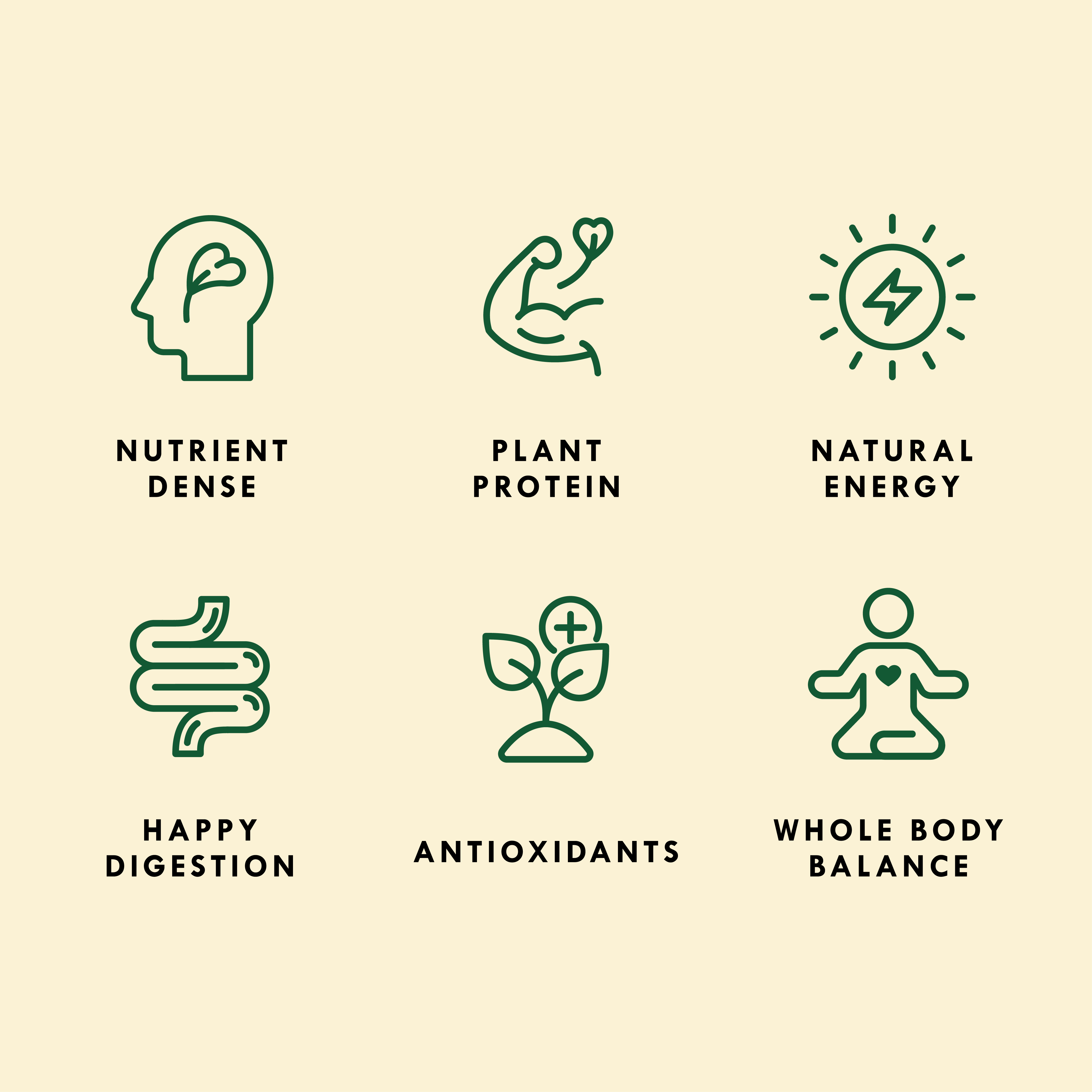 Sproutman – wholesale Plant seeds – Organic Beans + Greens Sprouting Seed2