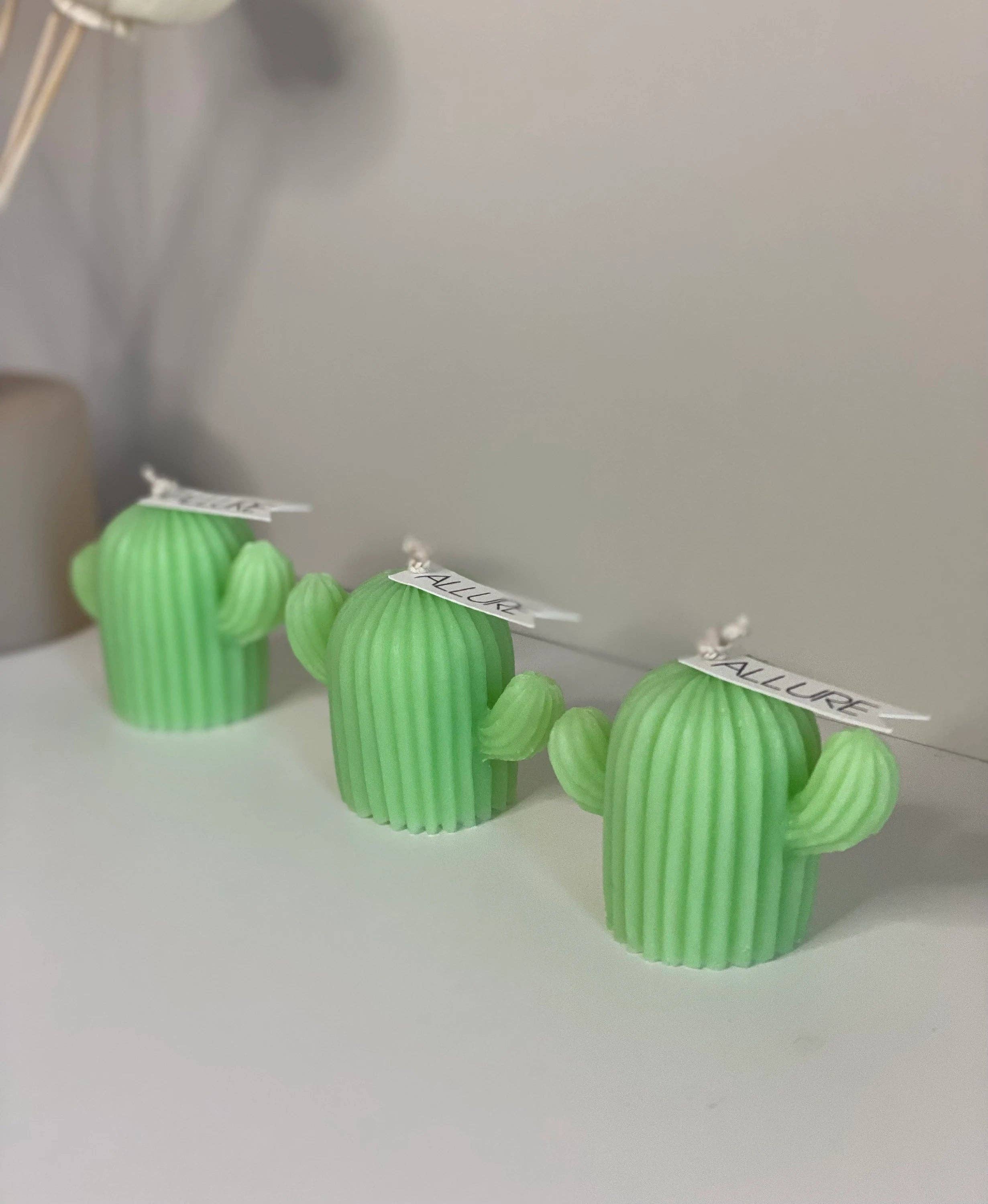 Allure Wax Works – Großhandel Geschenkkerze – Kaktus-Kerze1