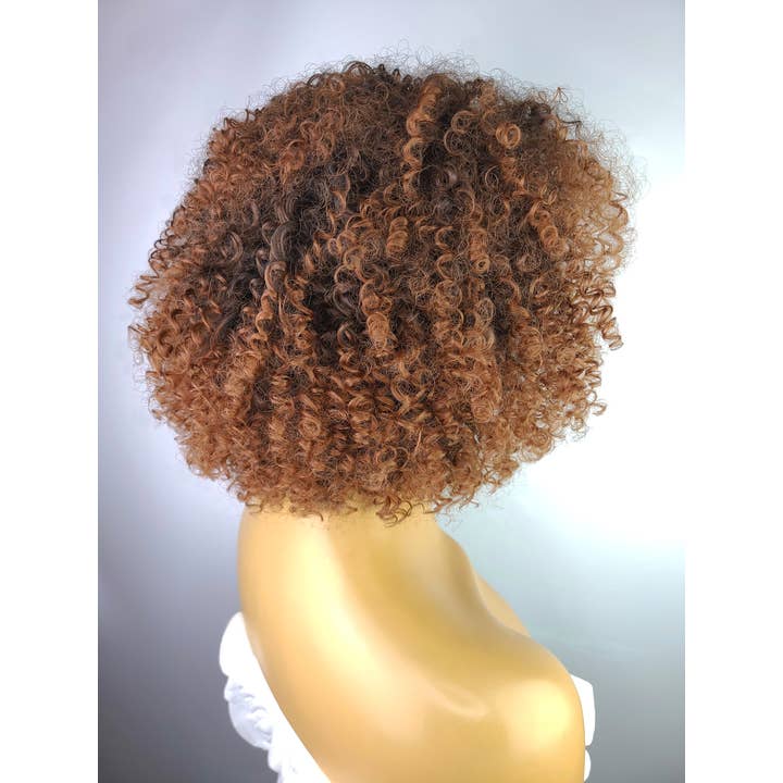 Celebrity Hair for Less - Wholesale Wig/hair piece - Afro Kinky Curly Wig with Afro Hairline, 10"5