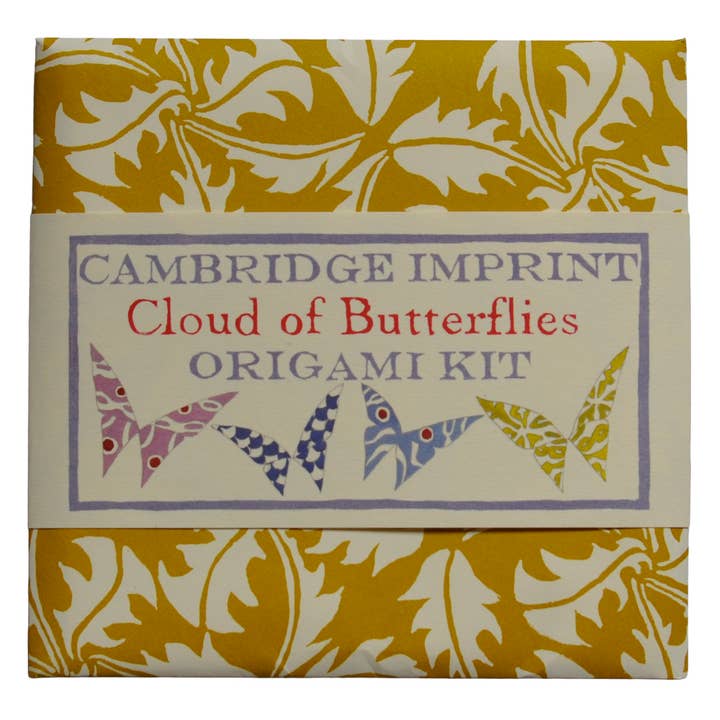 Cambridge Imprint - Wholesale DIY Craft Kit - Origami Cloud of Butterflies Kit