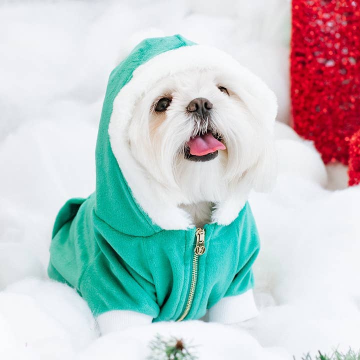 Sweat à capuche pour chiens Frenchie - Elf pour la vente par Frenchie