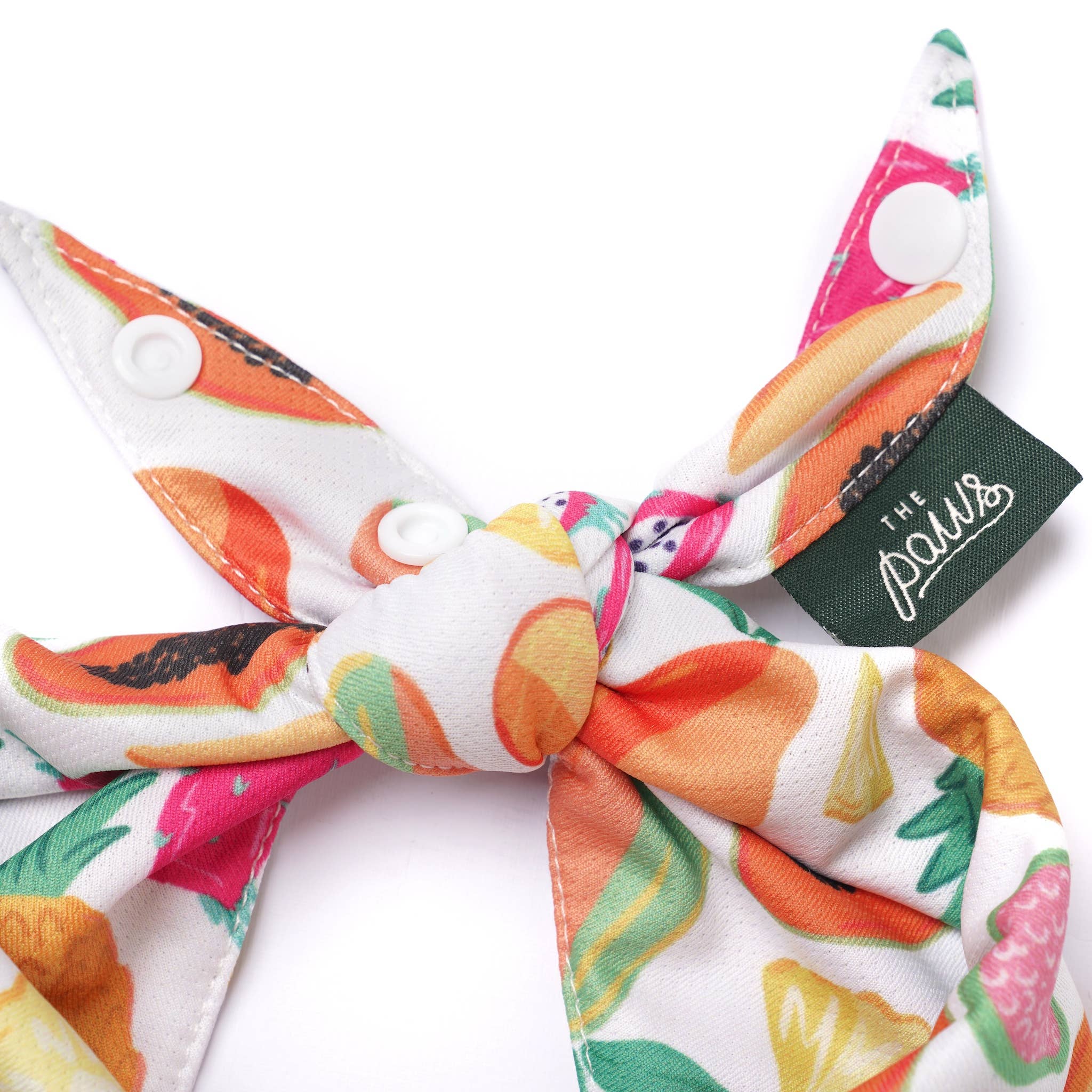 The Paws - Wholesale Pet Bandana - Dog - NEW Customization - Add Snaps 2