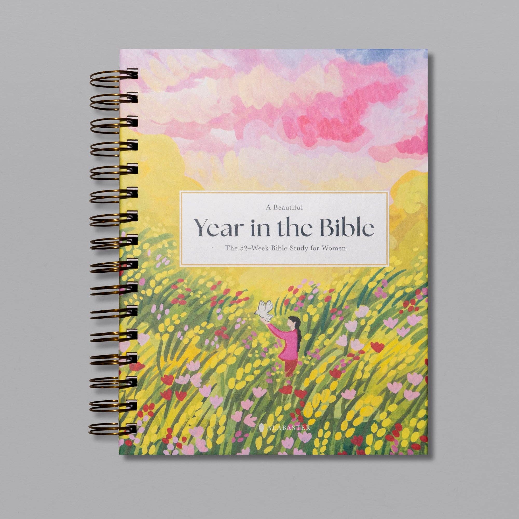 Alabaster Co - Wholesale Religion Book - A Beautiful Year in the Bible: The 52-Week Bible Study for Women9