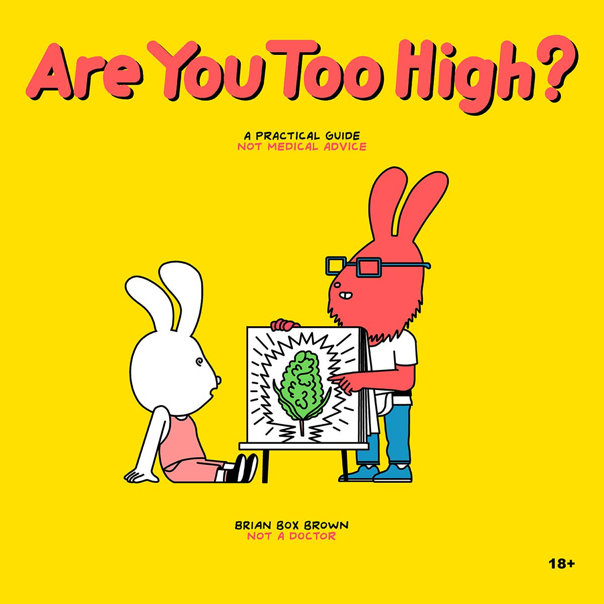 Yellow Salmon White Are You Too High? Adult Storybook, STR-004 for wholesale on Faire0