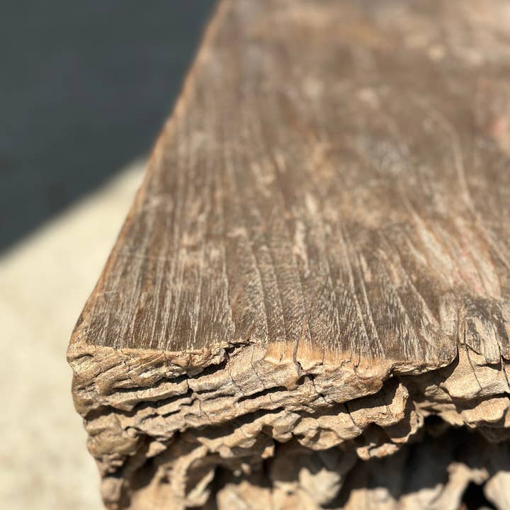 Office Objets - Wholesale Stool - Raw monoxyle organic Asian teak stool34