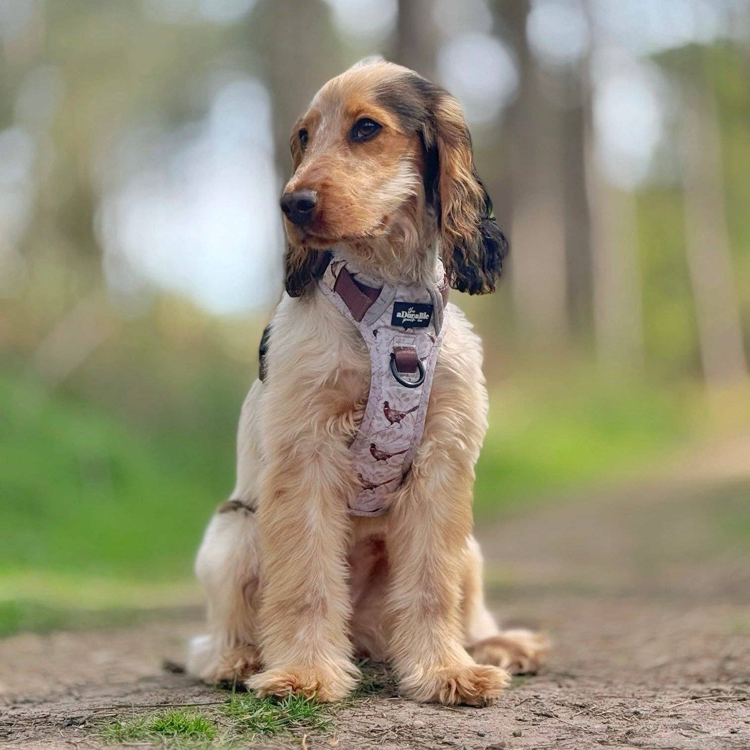 The aDoraBle Pooch Company - Wholesale Tuig voor huisdieren - Hond - Hike & Go™ Harnas - Farmland Fazant10