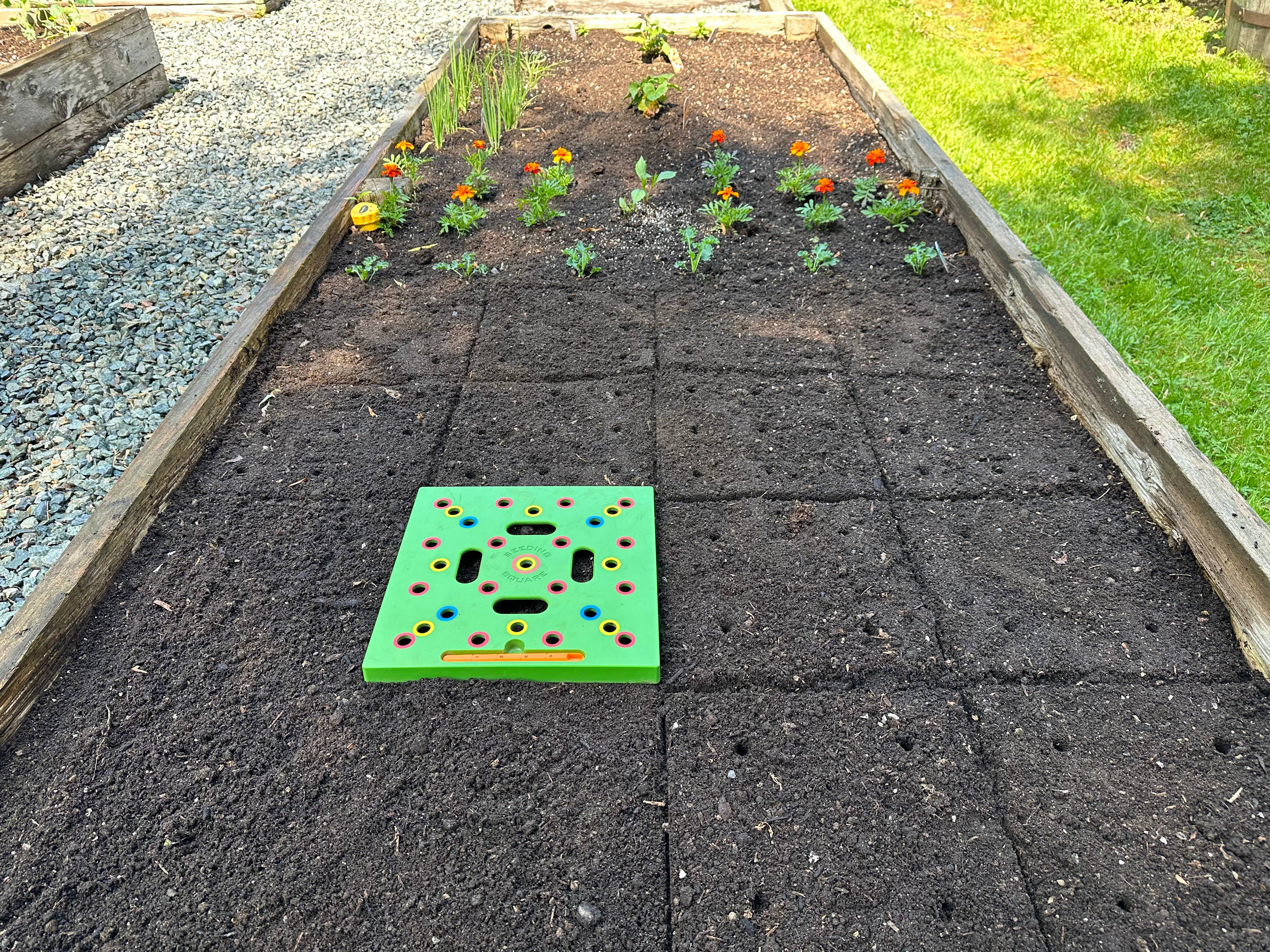 Seeding Square - Wholesale Garden Tool - SEEDING SQUARE Garden Spacing Template for Maximum Yield21