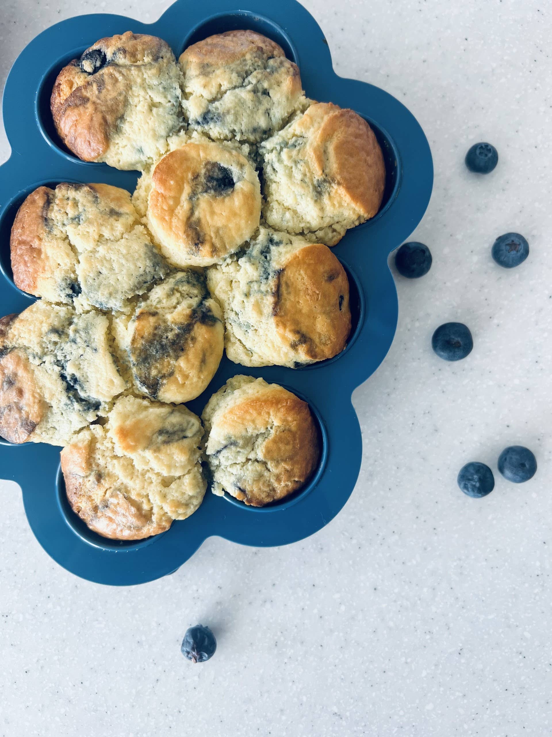 Cuddle Bug & Co – wholesale Food storage container – Mini & Me Bake & Freeze Pods Blueberry1