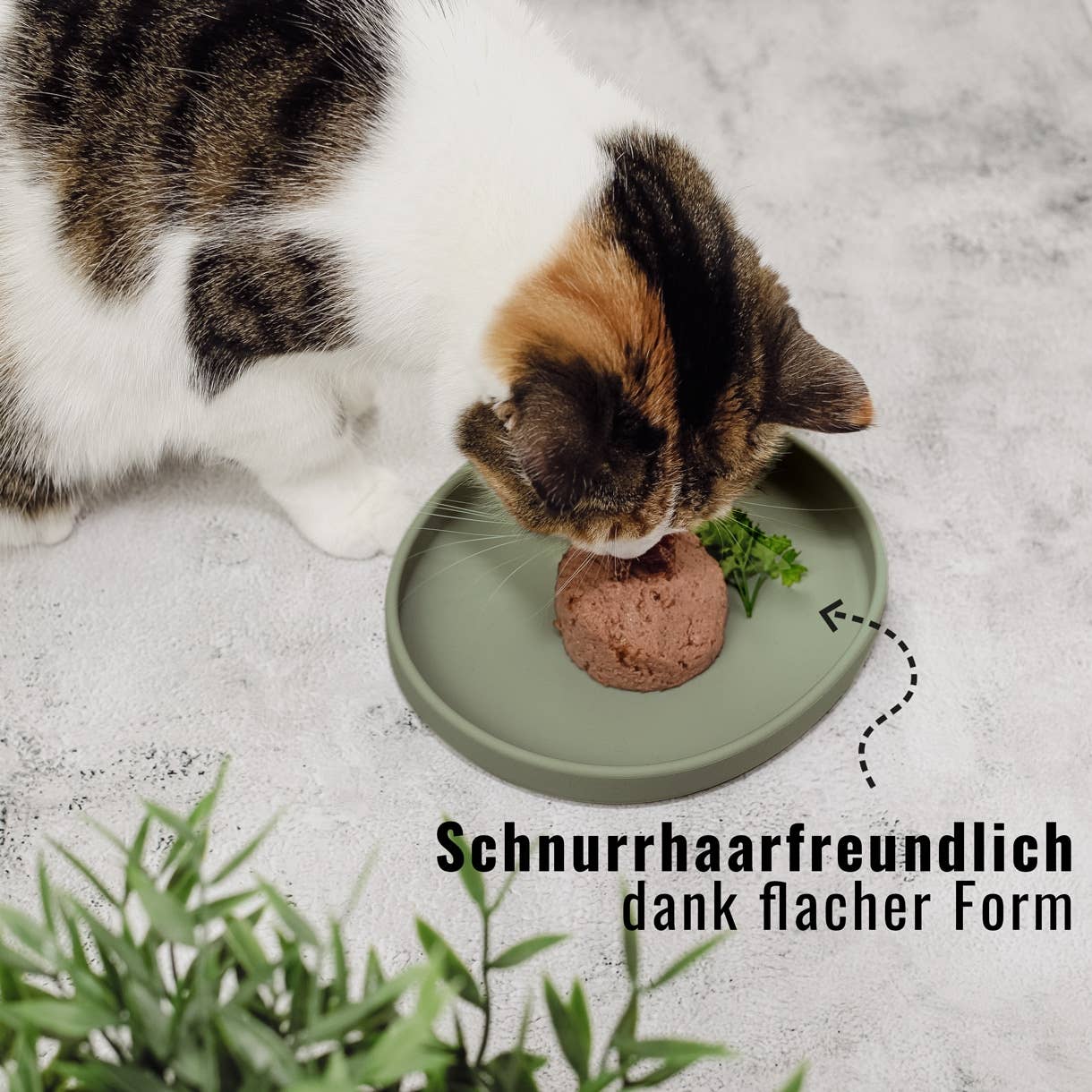 ne&no - Wholesale Pet Bowl - Cat/Dog - ne&no® Cat Silicone Feeding Bowl: whisker-friendly8