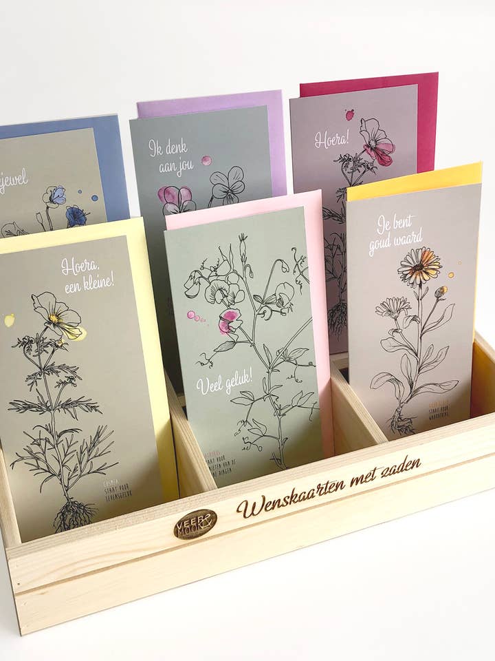 Série de cartões de felicitações com exibição - Momentos comuns de oferta por atacado de Veer&Moon