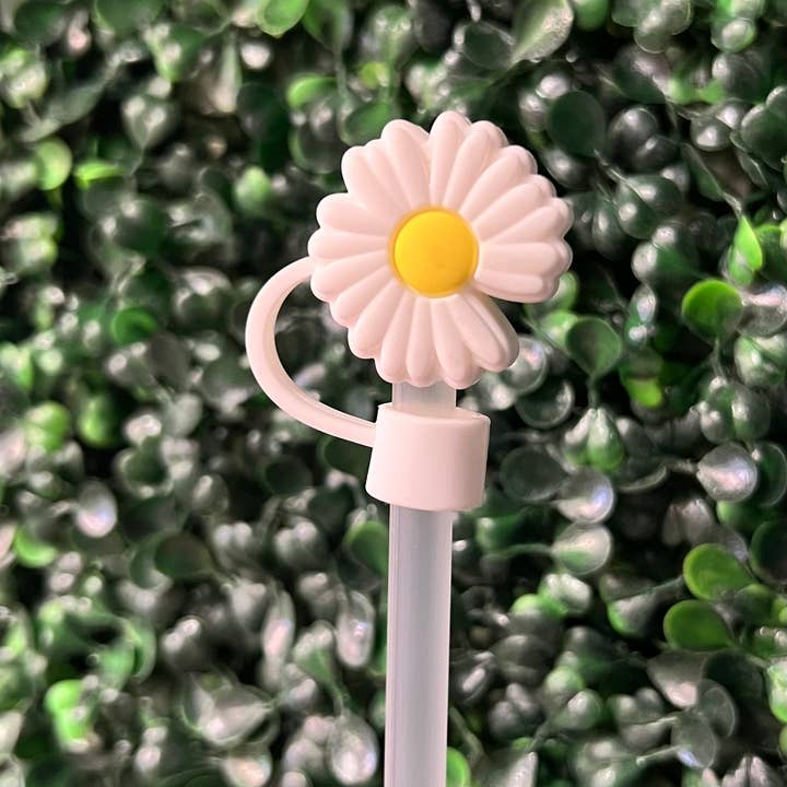 Briano Wholesale – Engroshandel Sugerør – Blomsterstore halmtoppere