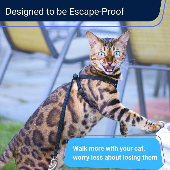 Outdoor Bengal - Wholesale Pet Harness - Cat - Houdiniâ„¢ Cat Harness and Leash - Escape Resistant, Light and Safe