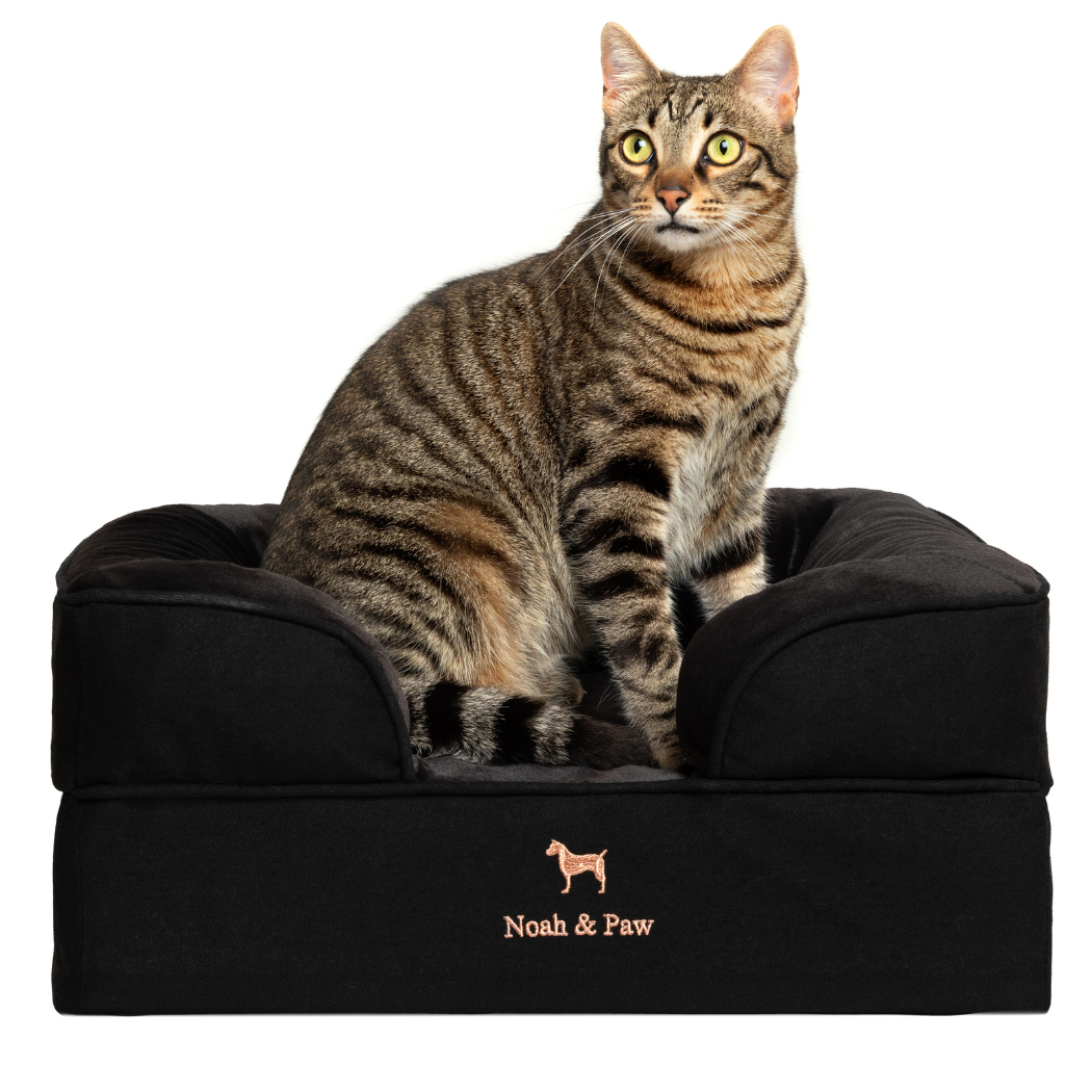 NOAH AND PAW LLC – Großhandel Haustierbett – Katze/Hund – Orthopädisches Haustierbett aus Denim, Memory-Schaum, mit kühlendem Gel durchzogen5