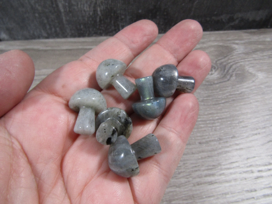 Keystone Crystals - Wholesale Spiritual Stone/Crystal -  Small Gemstone Mushrooms for Crystal and Gift Shops 16