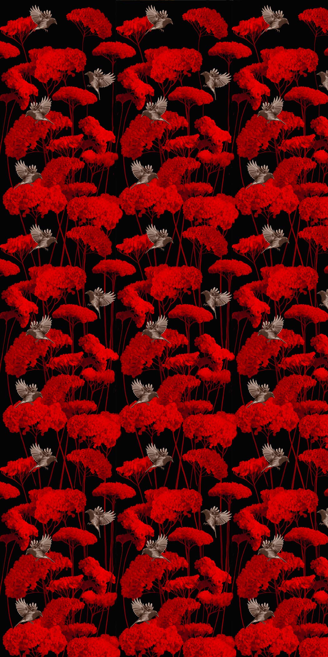 Daria Petrilli - Wholesale Wallpaper - BIRD ON RED ACHILLEA FLOWE - WALLPAPER 1