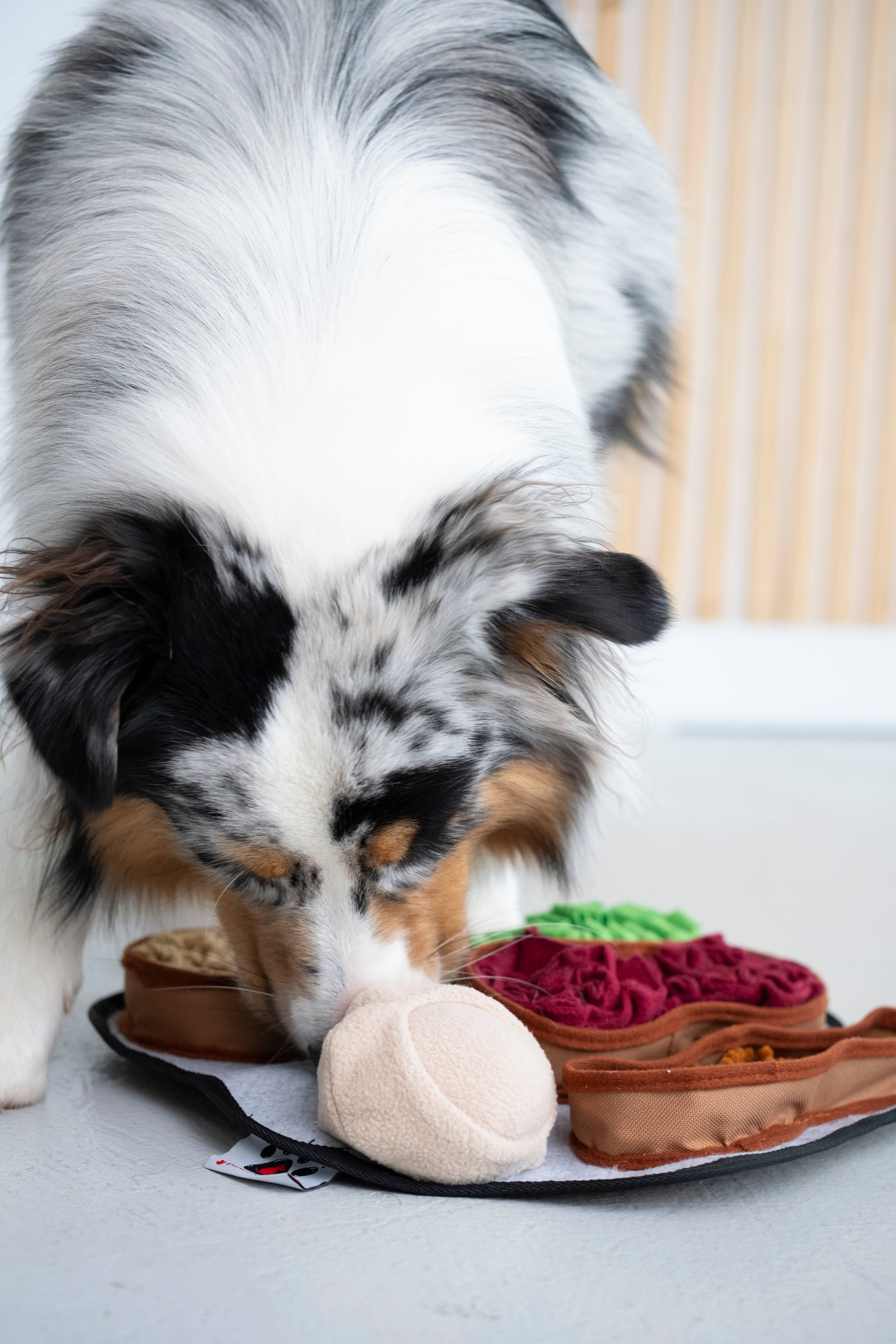 PawzNDogz – wholesale Pet mat – Dog – Chonky Peanuts™ Snuffle Mat | Challenge Level 212