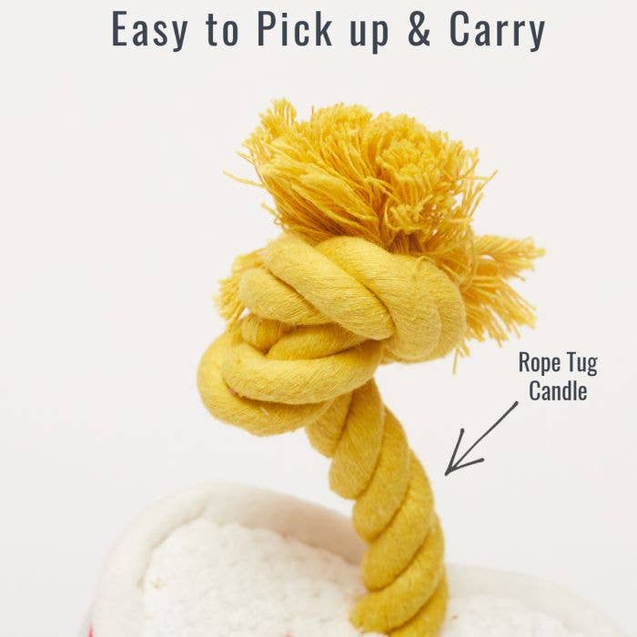 PetLondon - Wholesale Pet Plush Toy - Dog - Rainbow Sparkle Dog Happy Birthday Cake2