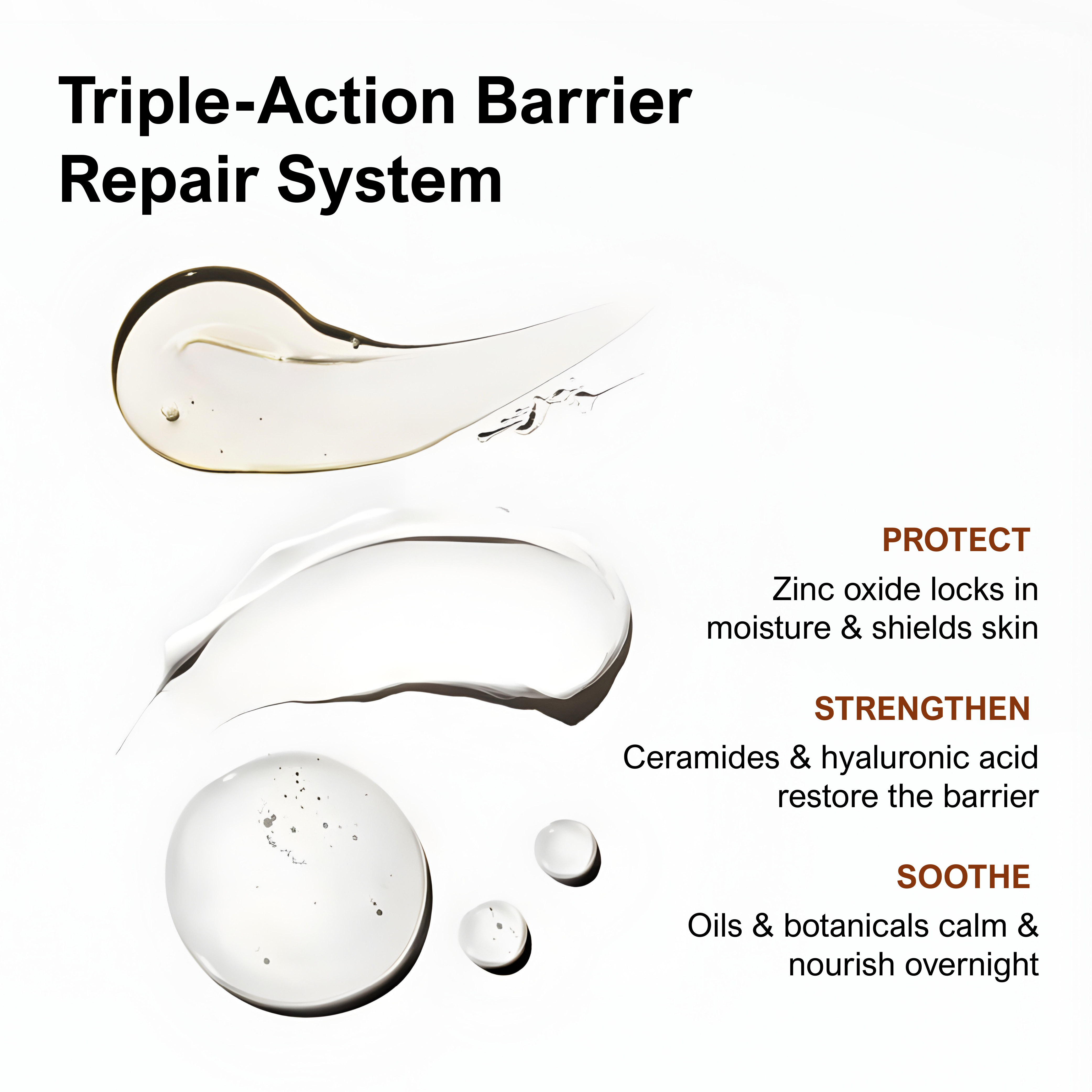 Bee Naturals - Wholesale Night Cream - Restore Barrier Night Crème with Zinc Oxide3