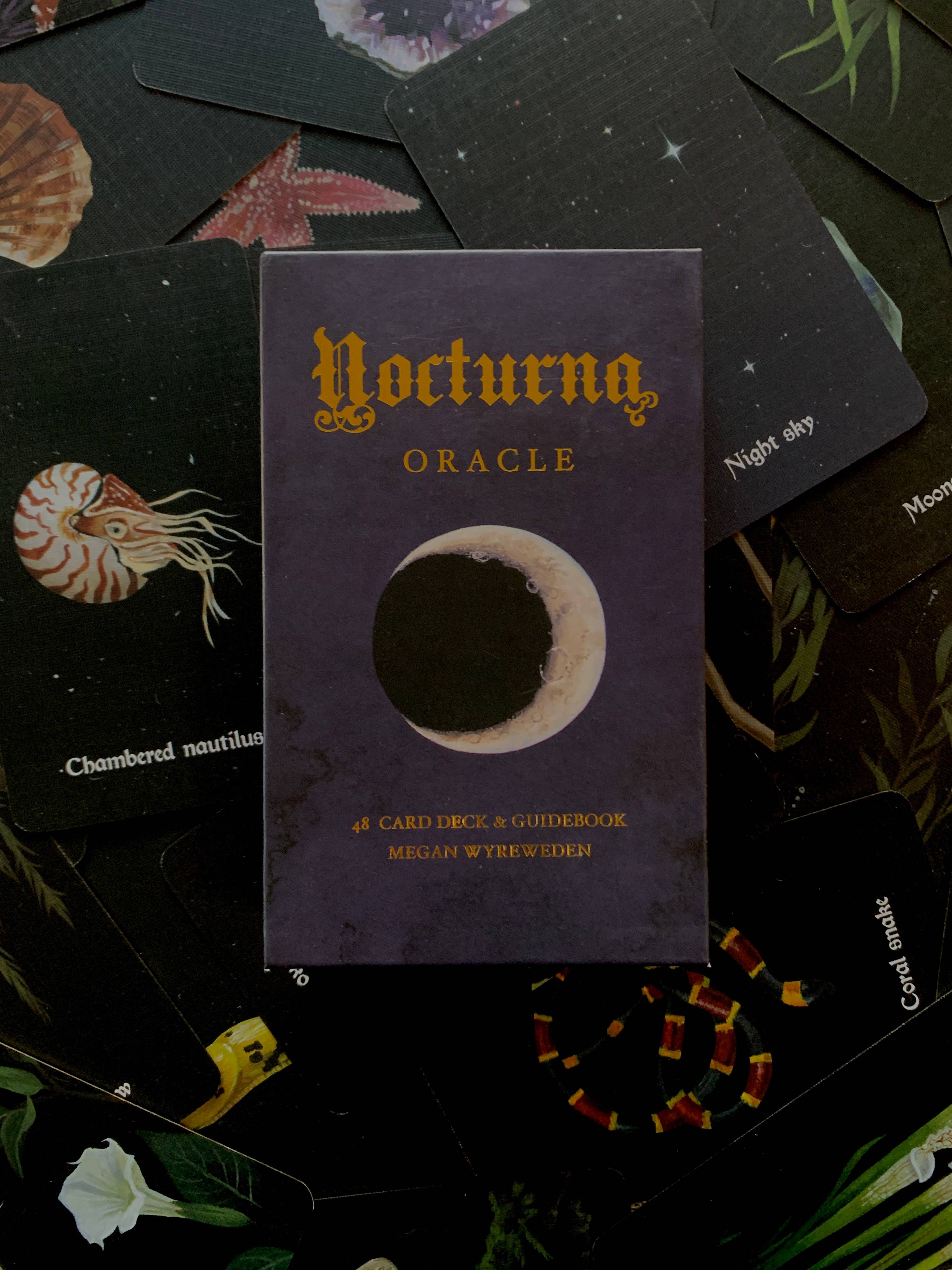 The Creeping Moon - Wholesale Tarot Cards - Nocturna oracle deck - 48 card deck with guidebook1