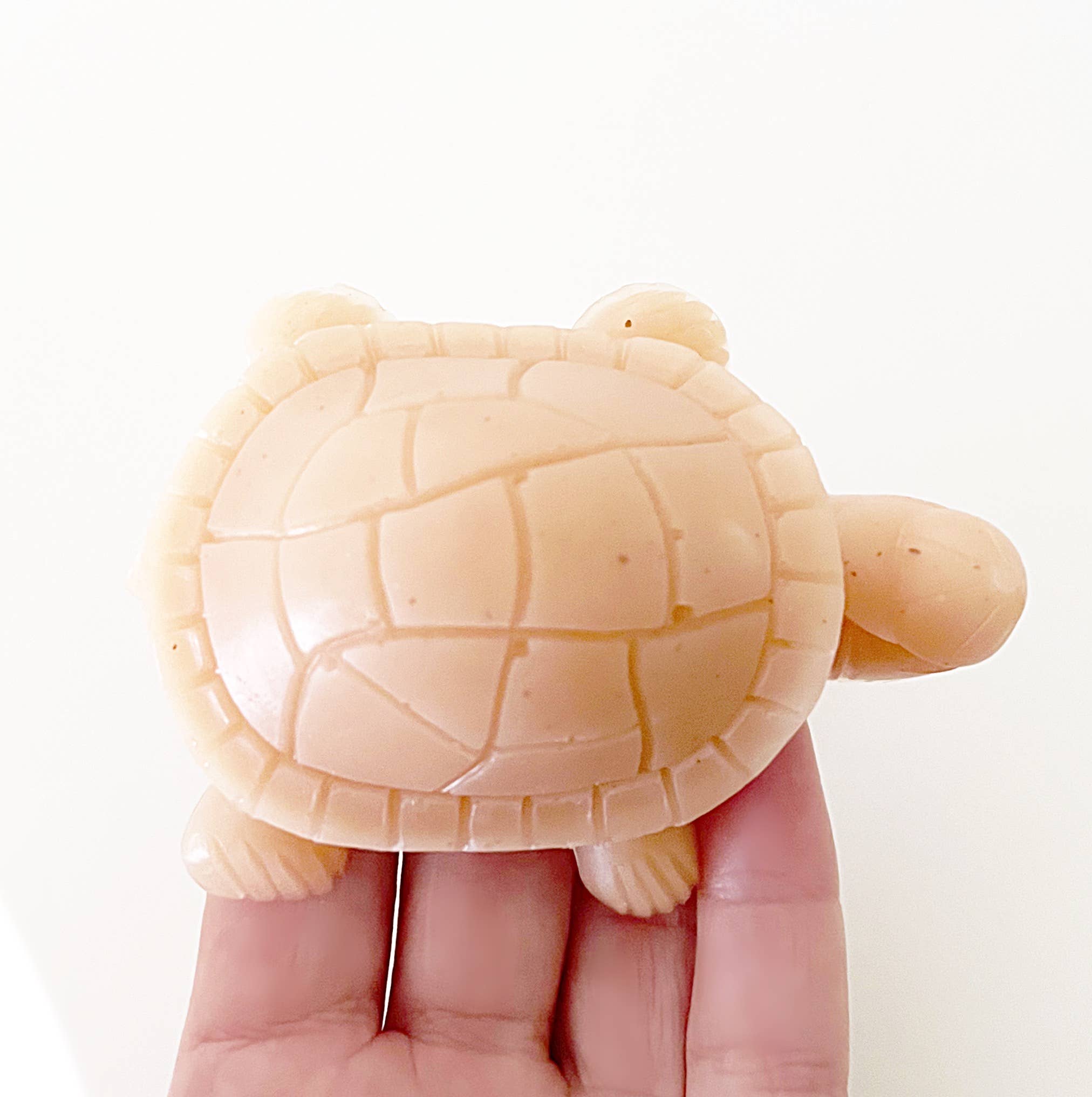 Paper Soap Co – sabonete sólido por atacado – Turtle - Sabonete - Embrulhado0