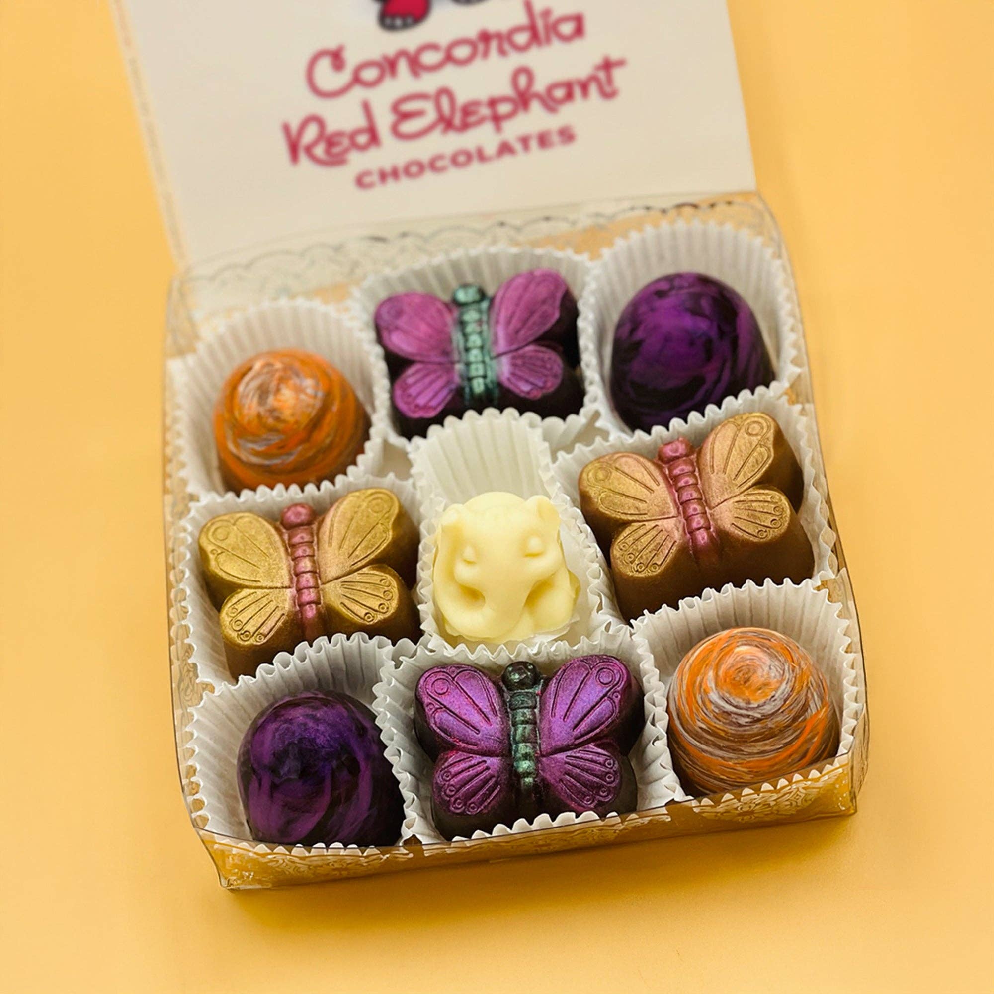Concordia Red Elephant Chocolate - Wholesale Chocolate Box - Mimosa Inspired Chocolate Truffles Assortment Milk and Dark 1