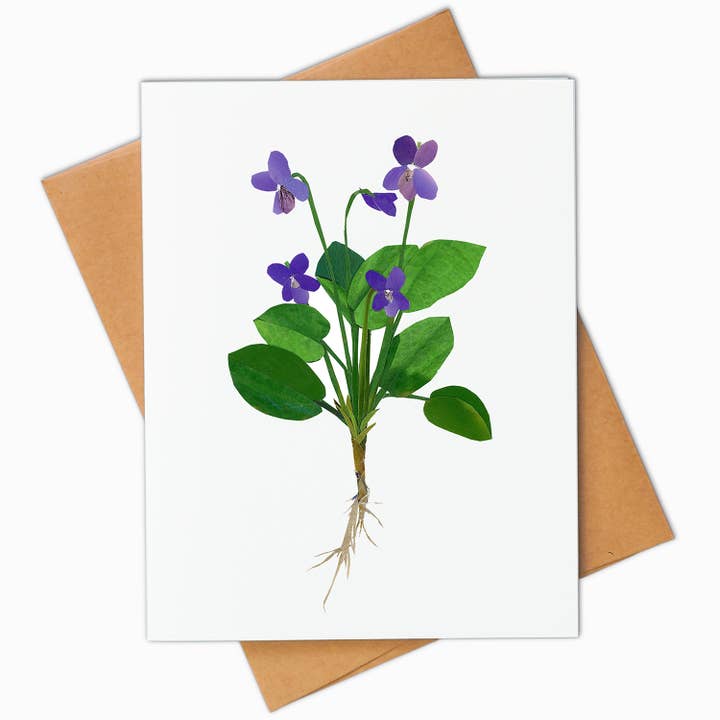 Purple Violets lykønskningskort for engroshandel hos Angela Doak