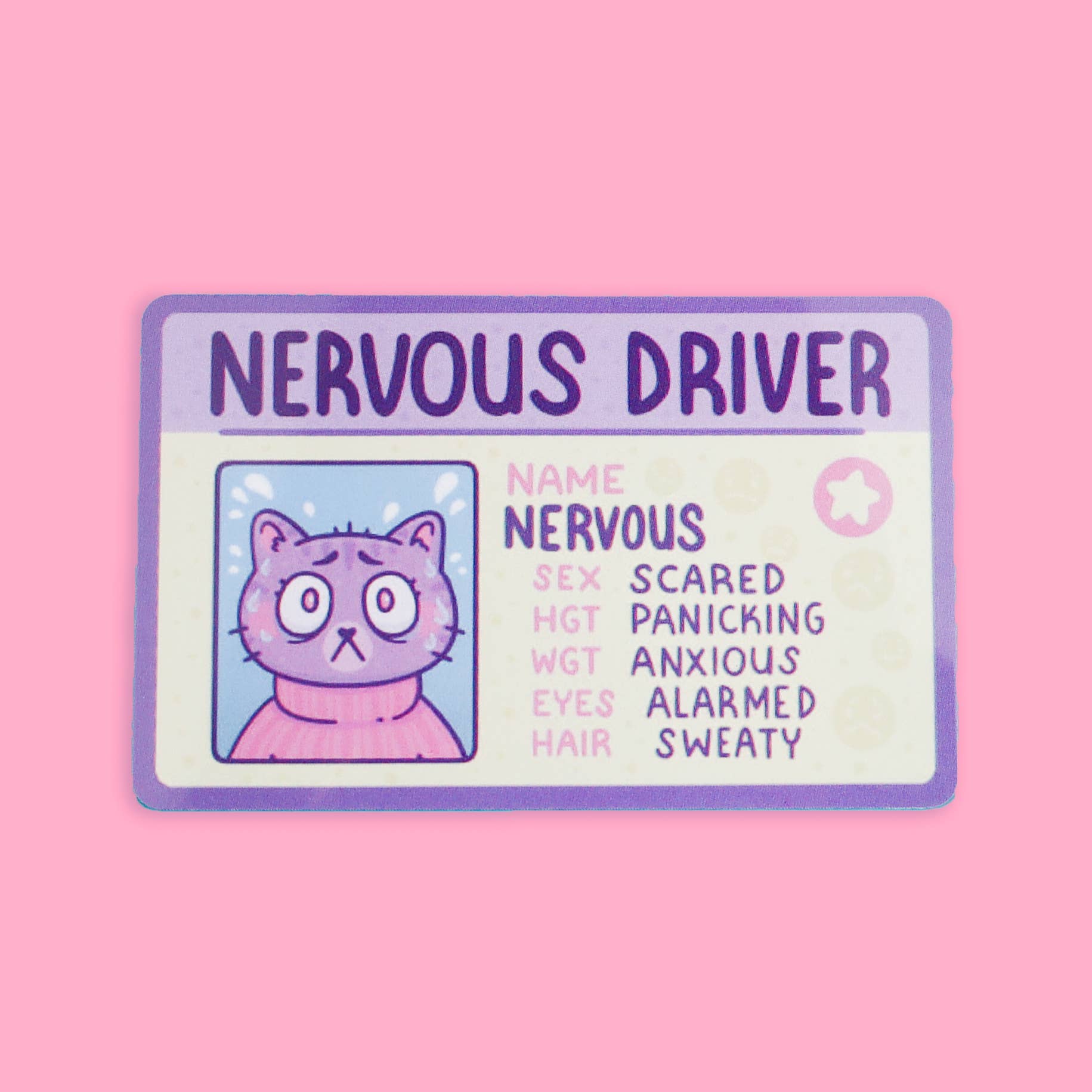 Turtle's Soup - Wholesale Gag Gift/Novelty Gift - Nervous Driver Fake Drivers License0