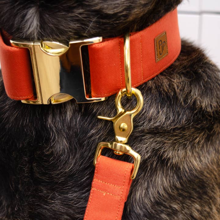 Puddle Jumper Pups - Wholesale Pet Collar - Dog - Signature Collar - Terracotta1