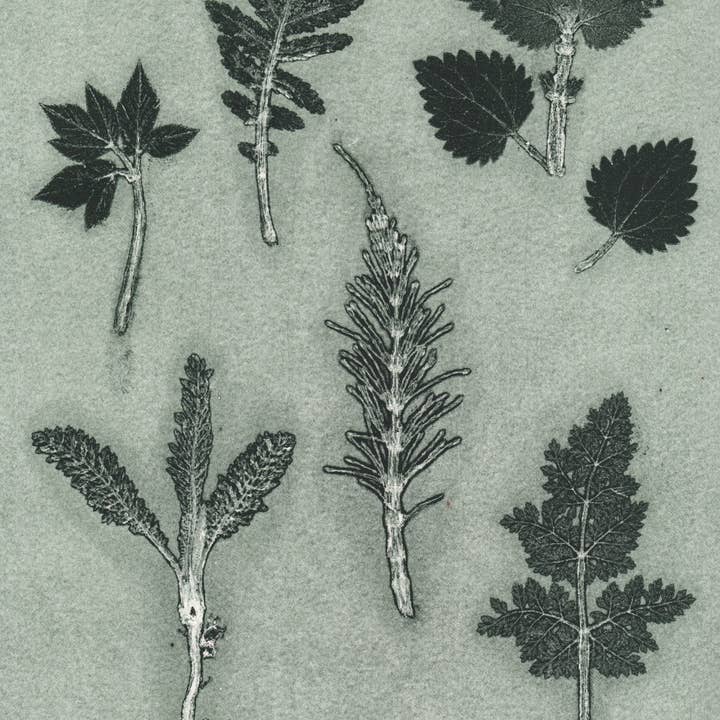 PERNILLE FOLCARELLI - Wholesale Art Print - Wild herbs green A5