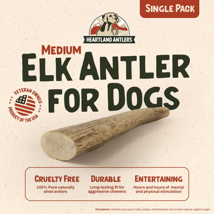Heartland Antlers - Wholesale Pet Chew Toy - Dog - Whole Elk Antler Chew - Medium (25-45 lbs)1