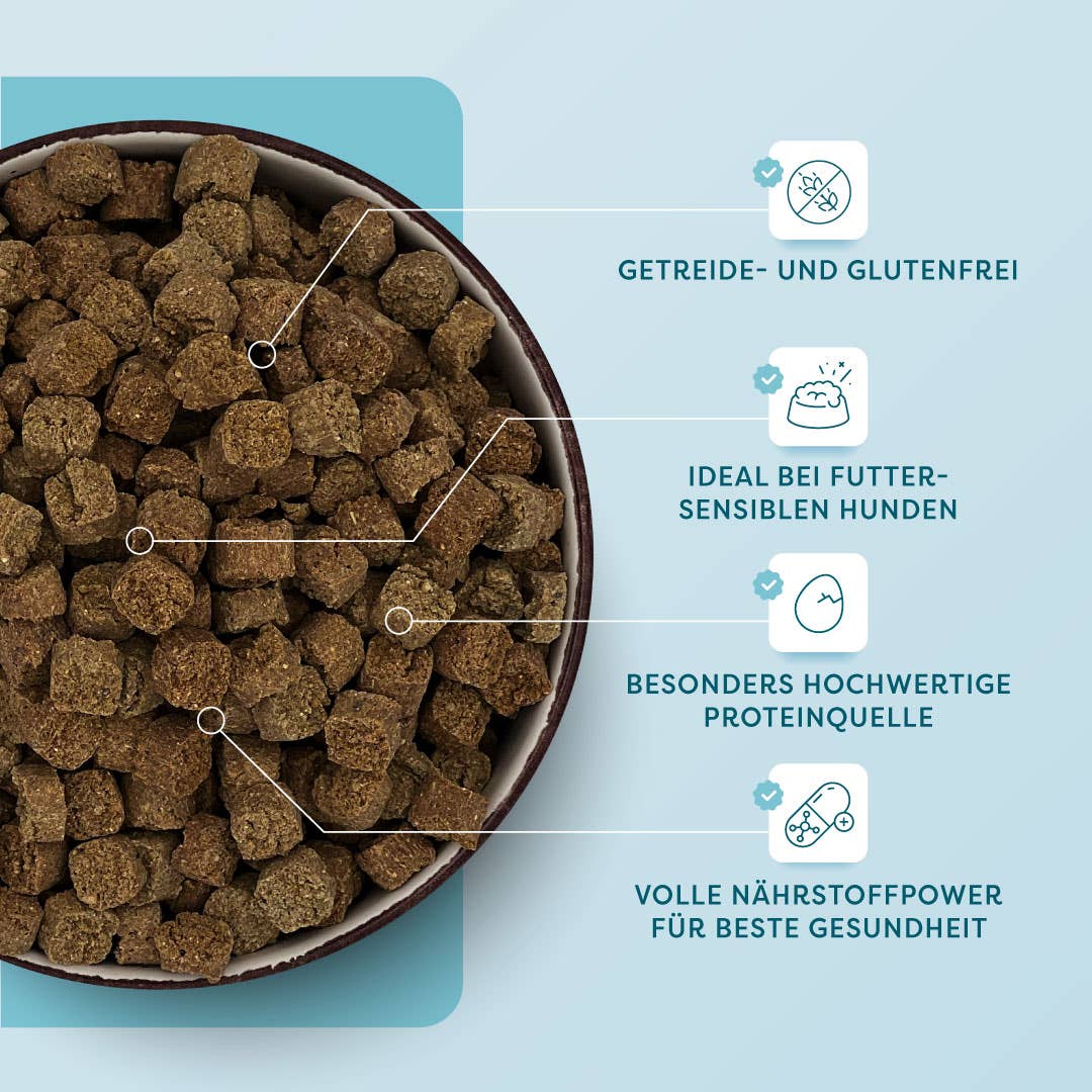 DrSAM - Wholesale Pet food – Dog - Premium dry turkey & amaranth food for dogs - 1.8 kg2