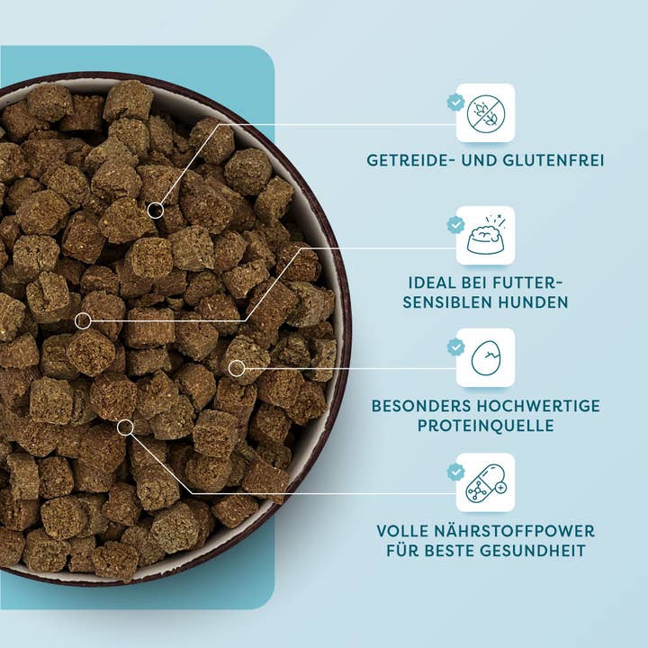 DrSAM - Wholesale Pet food – Dog - Premium dry turkey & amaranth food for dogs - 1.8 kg2