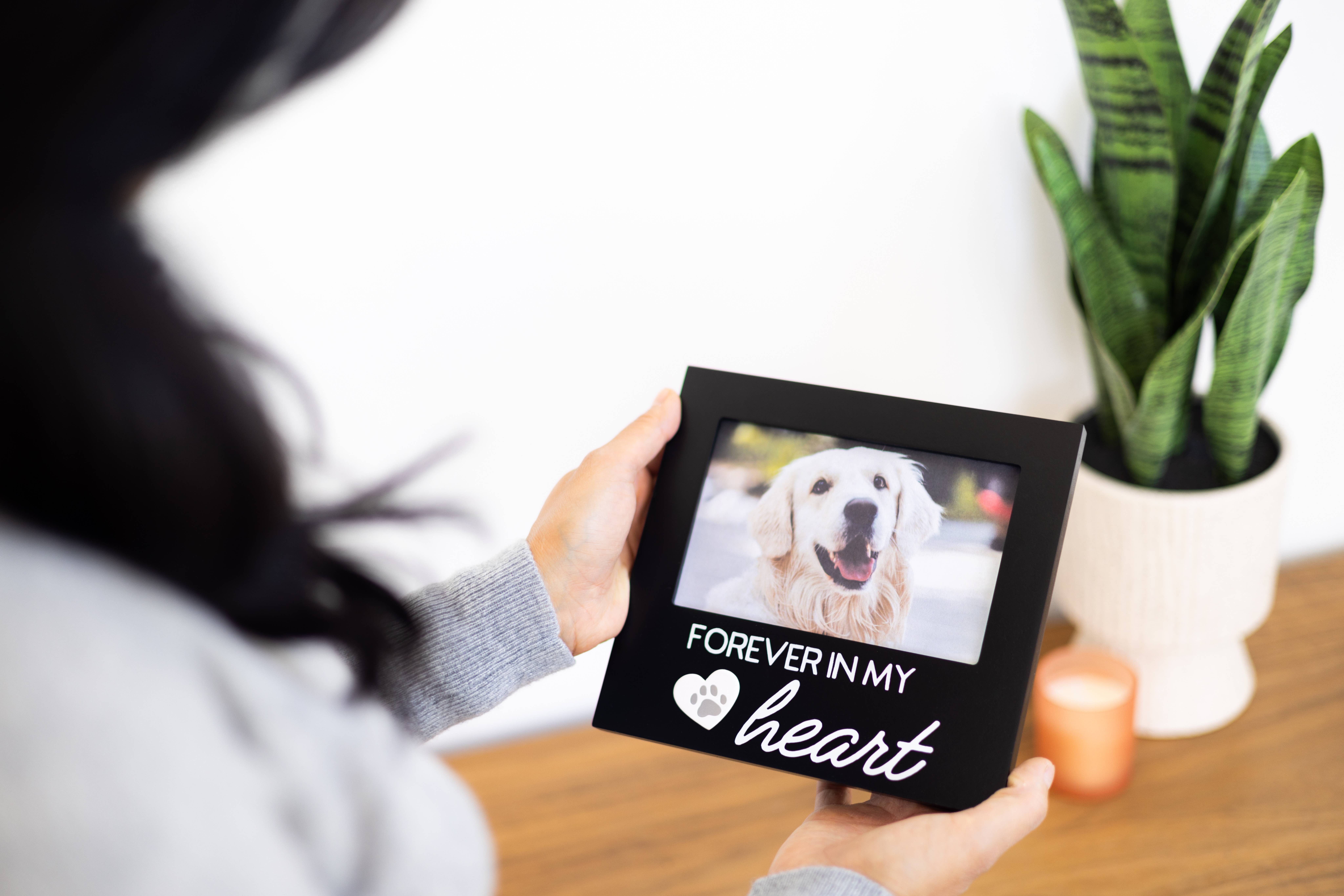 Pearhead - Wholesale Picture Frame - Pet Memorial Frame, Forever in my Heart4