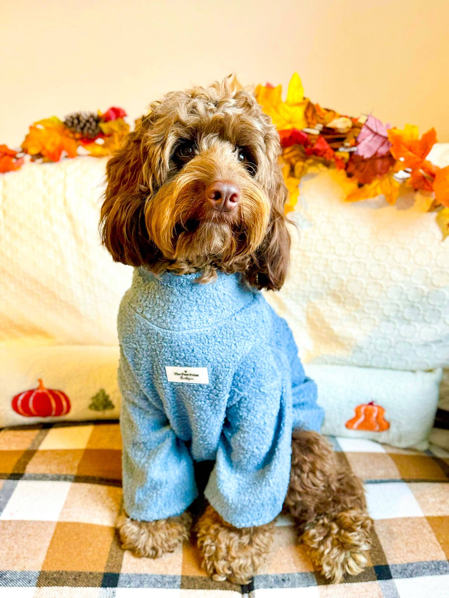 The Paw Print Boutique – wholesale Pet jumper – Dog – Teddy Fleece - Dusky Blue5