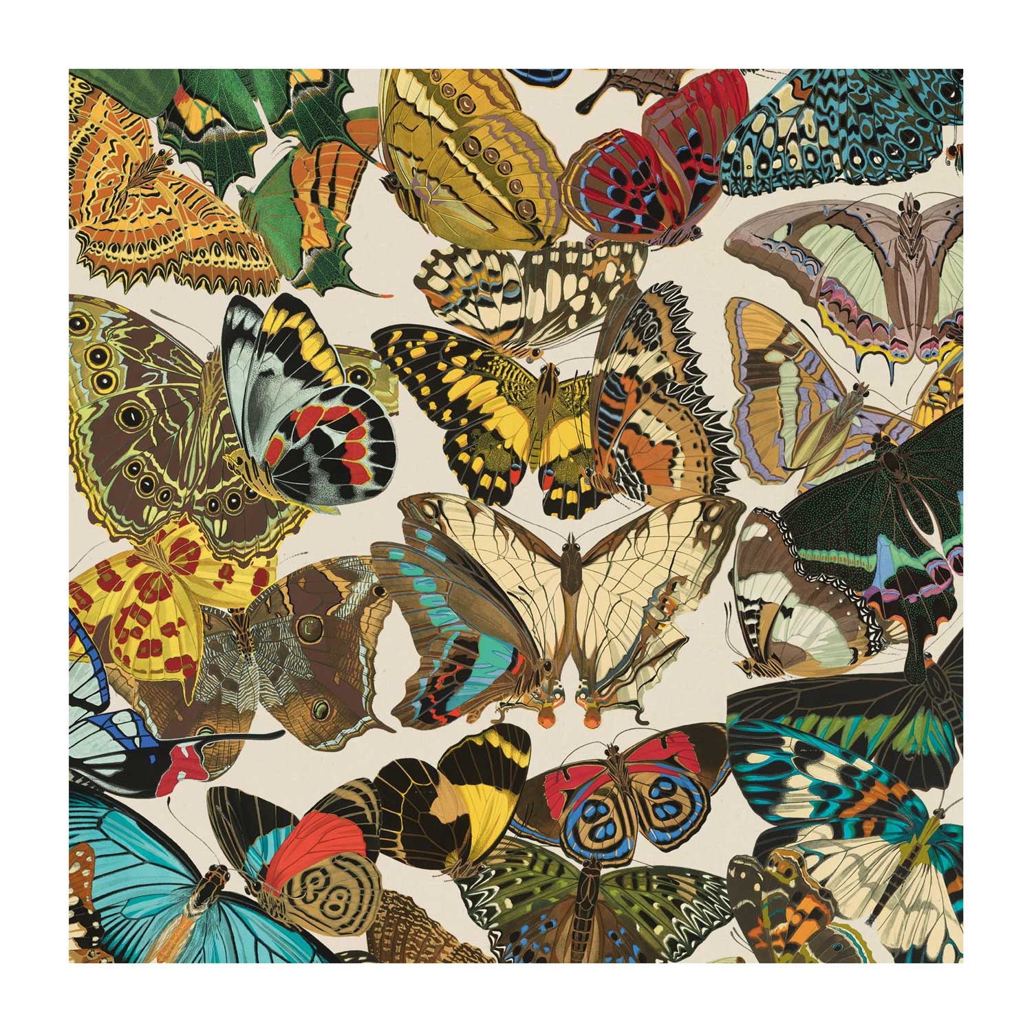 The Pattern Book – wholesale Flat wrap – Butterflies1