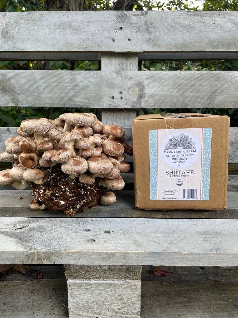Mycoterra Farm - Vente Coffret de cuisine - Kit de culture de champignons Shiitake1