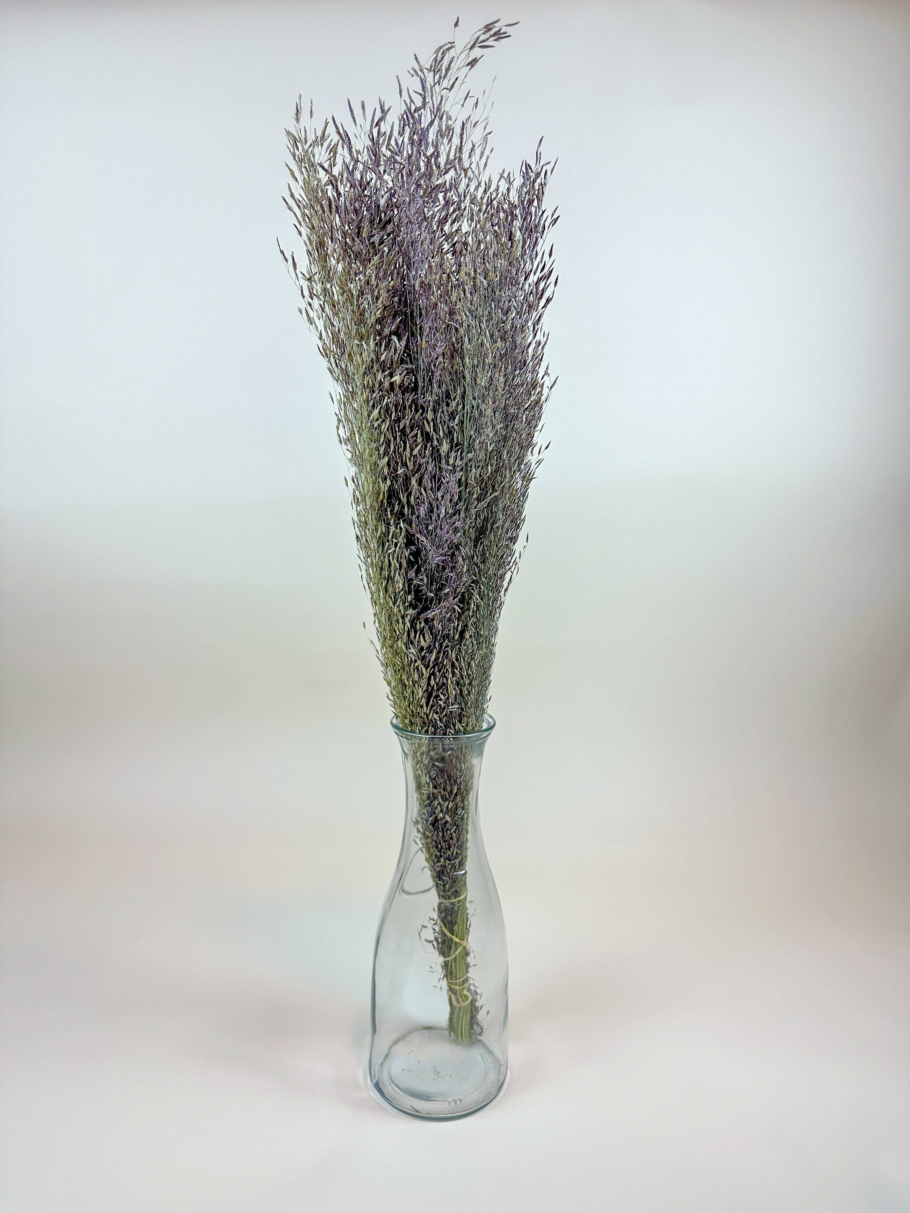 Lovejoy Farms Premium Dried Flowers - Wholesale Dried/Pressed Flowers - Ruby Silk Grass - Naturally Dried 0