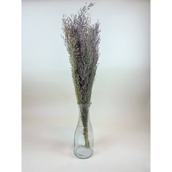 Lovejoy Farms Premium Dried Flowers - Wholesale Dried/Pressed Flowers - Ruby Silk Grass - Naturally Dried