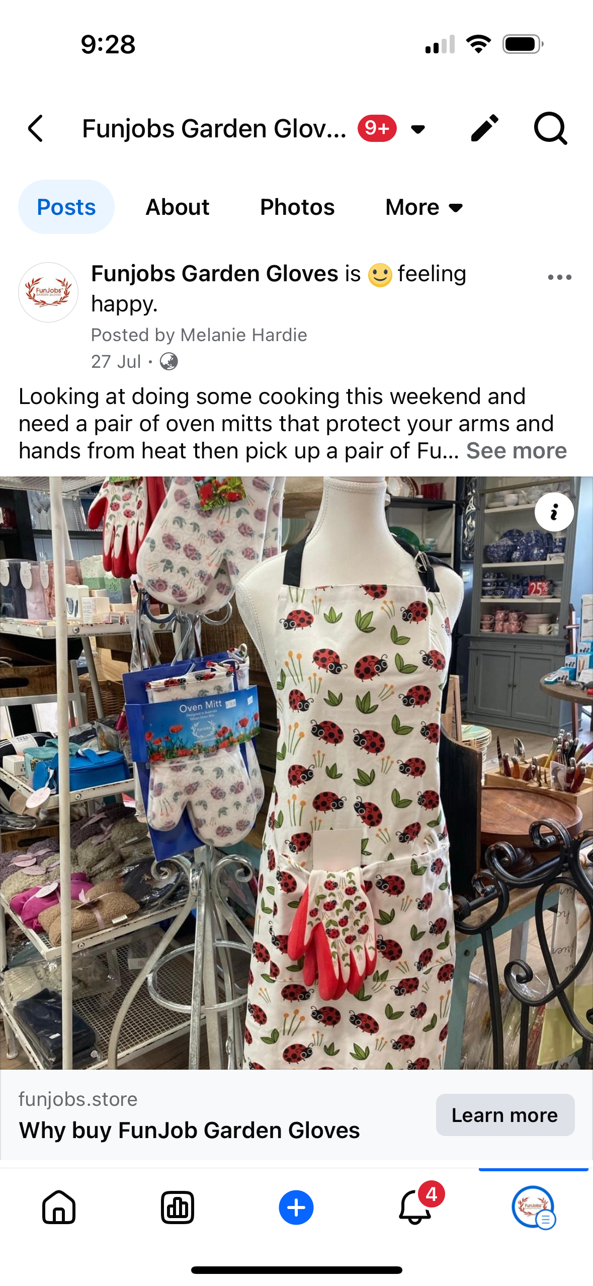 FunJobs Garden Gloves - Wholesale Oven Mitt/Pot Holder - FunJobs Ladybird Silicone Oven Mitts- One pair or two mitts10