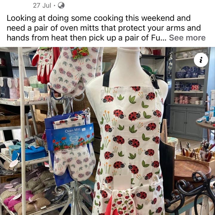 FunJobs Garden Gloves - Wholesale Oven Mitt/Pot Holder - FunJobs Ladybird Silicone Oven Mitts- One pair or two mitts10