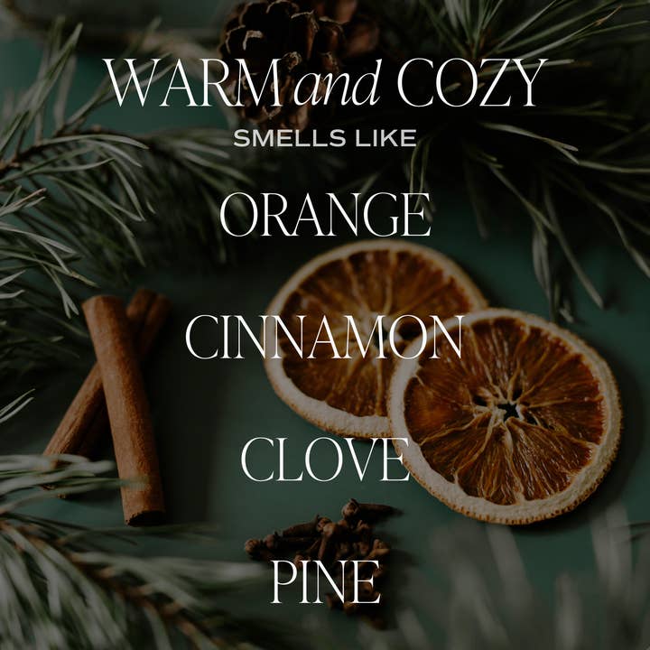 Sweet Water Decor - Wholesale Reed Diffuser - Warm and Cozy Reed Diffuser - Christmas Home Decor & Gifts