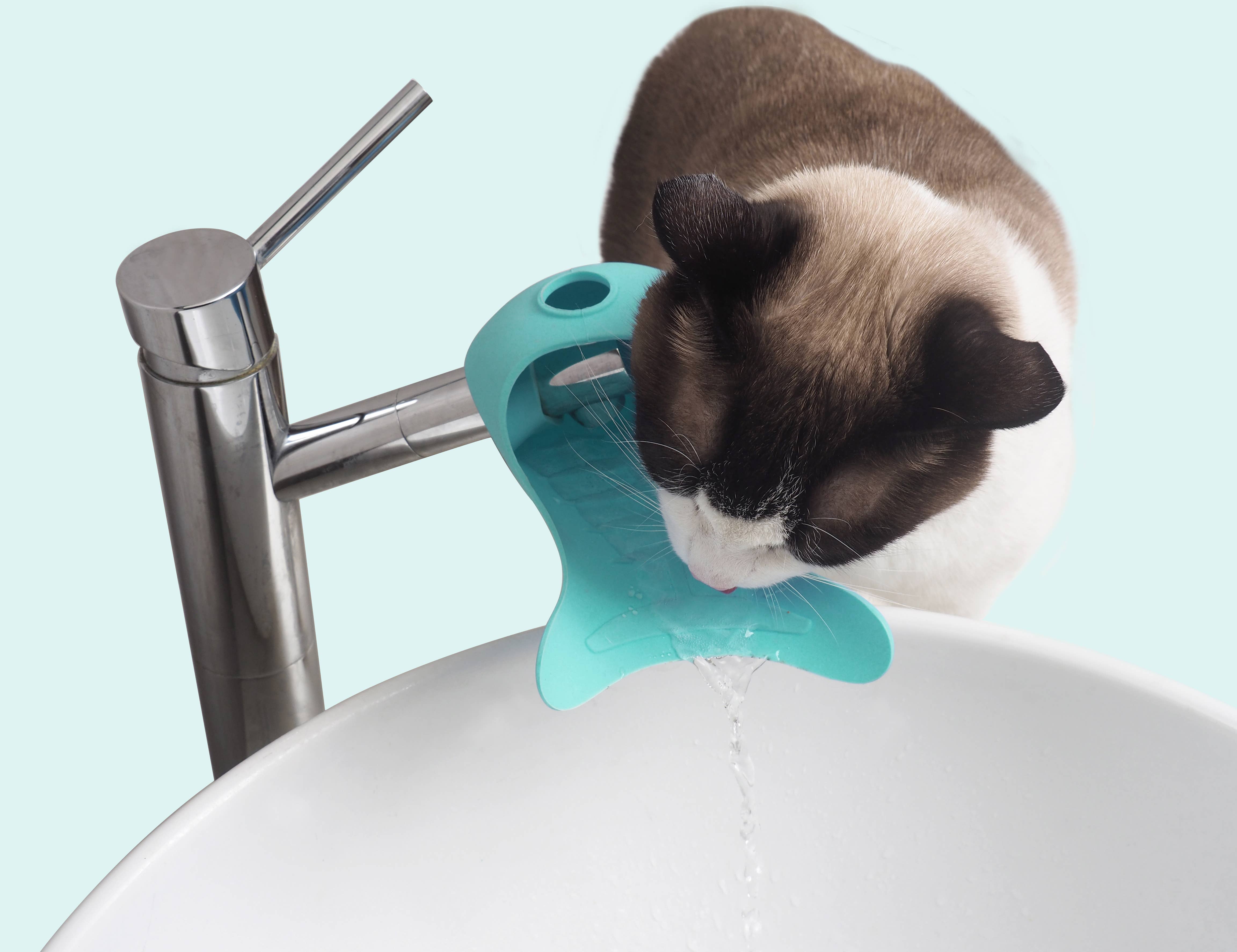 United Pets - Vente Gamelle – chat et chien - Robinet universel en silicone pour chats8